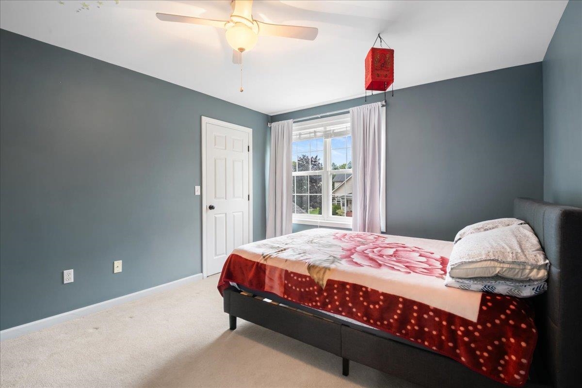 17 Bower Street Property Photo 34