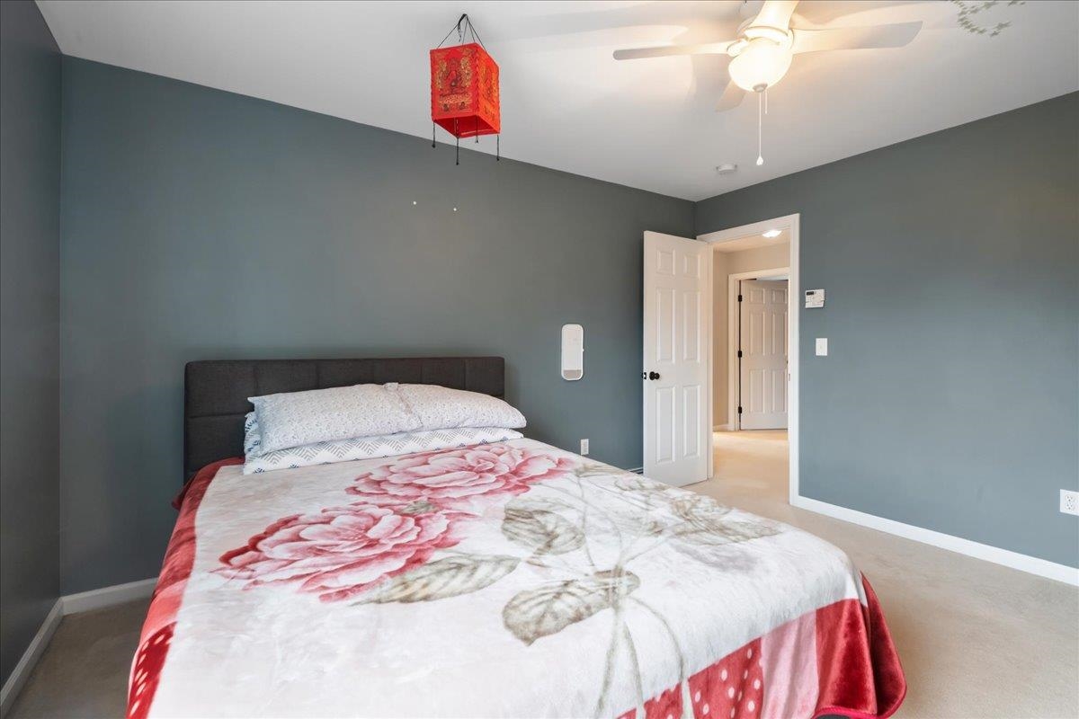 17 Bower Street Property Photo 35