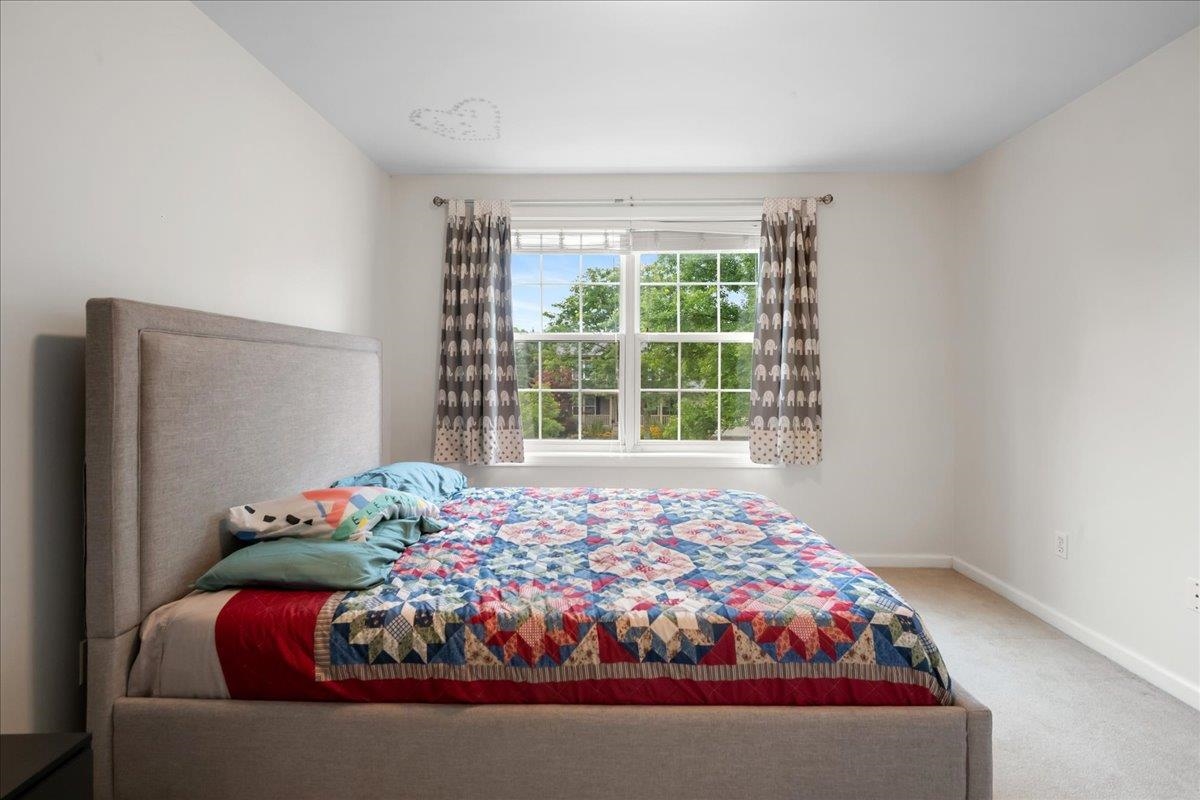17 Bower Street Property Photo 37