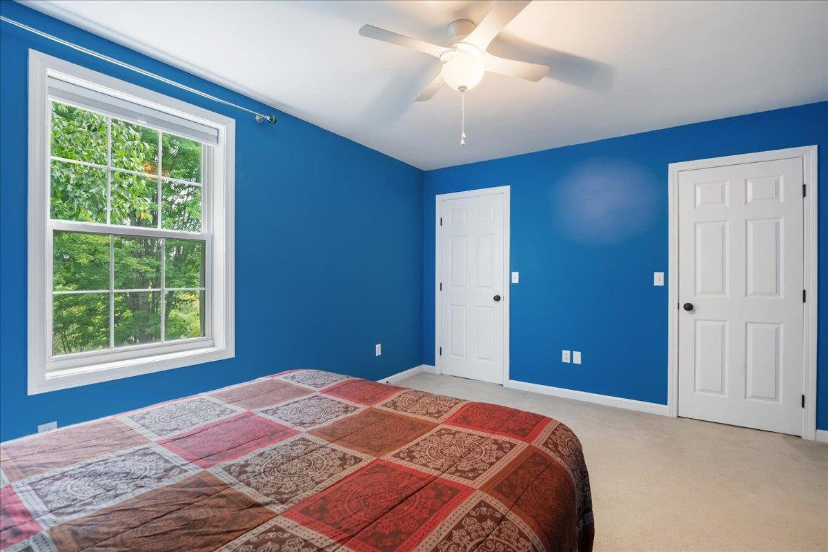 17 Bower Street Property Photo 42