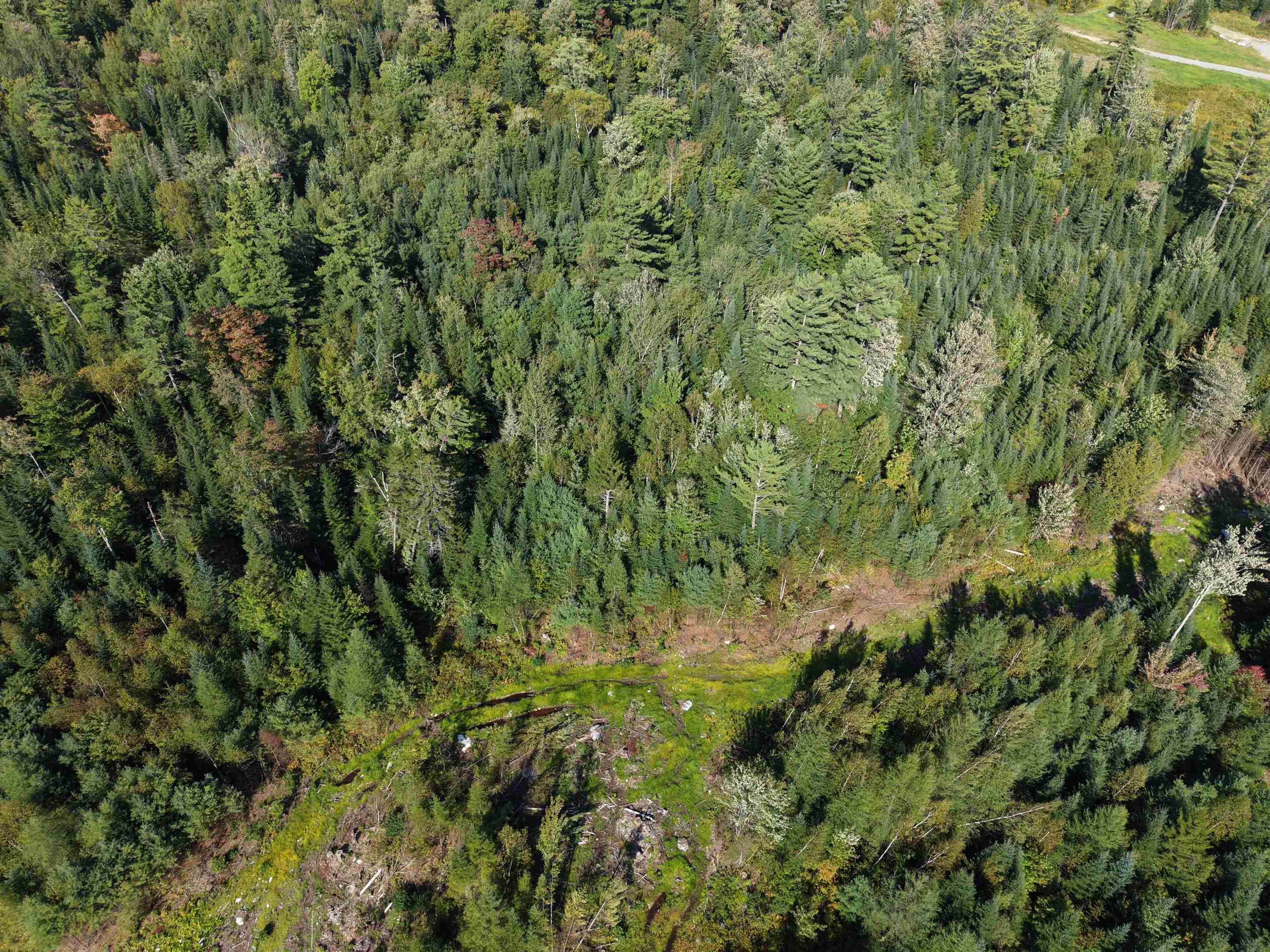 0000 Morin Road Property Photo 10