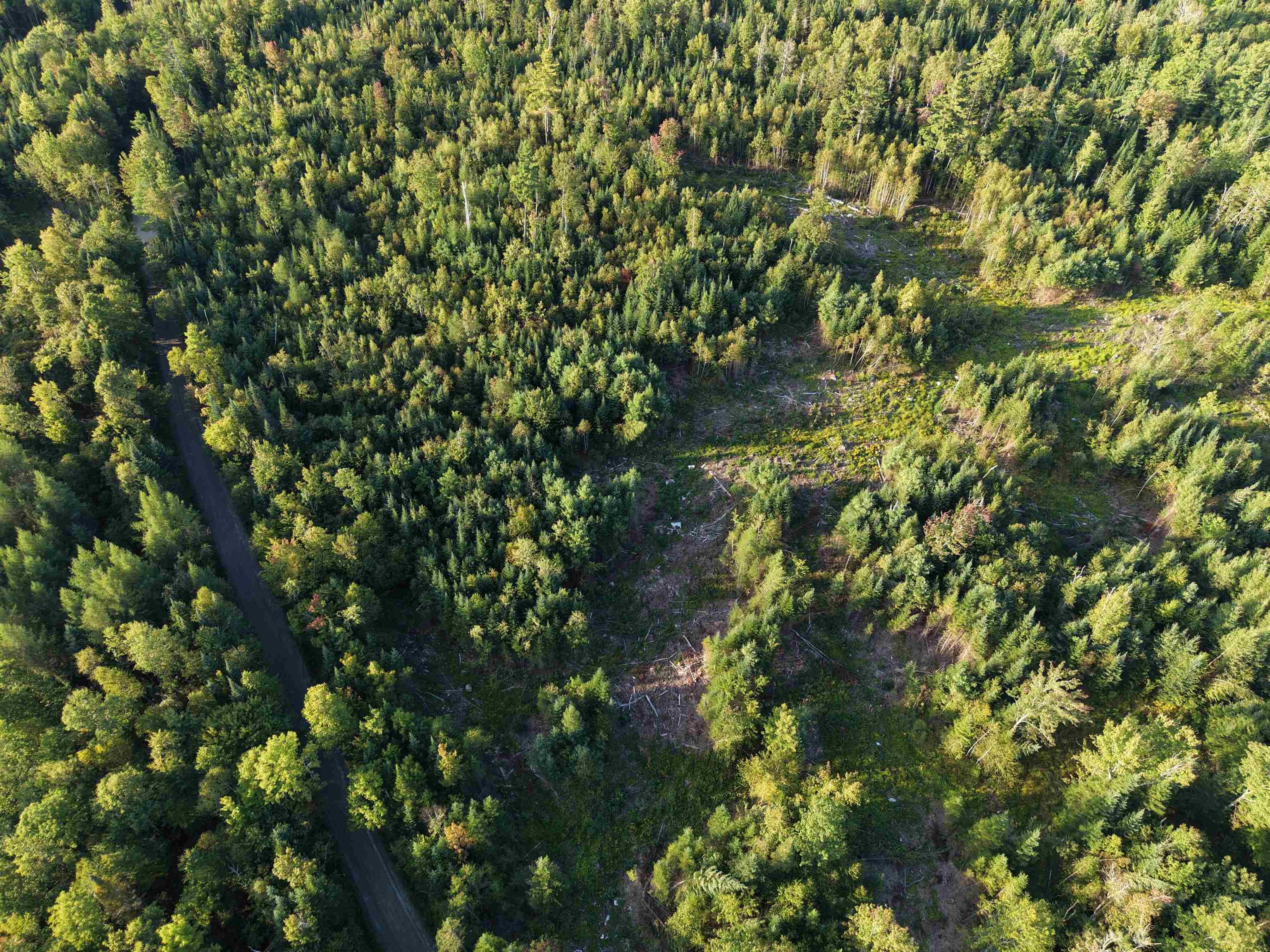 0000 Morin Road Property Photo 12