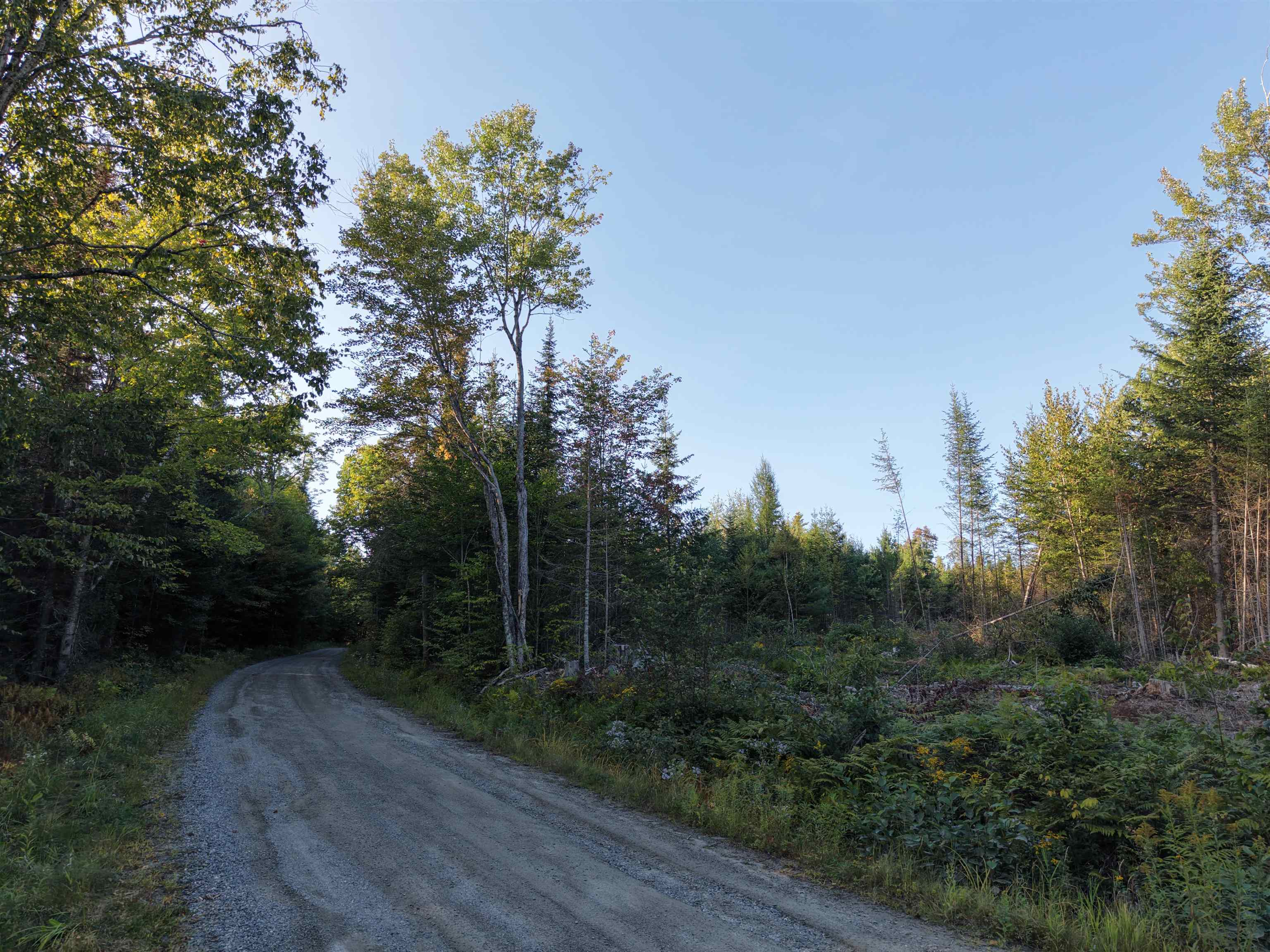 0000 Morin Road Property Photo 14