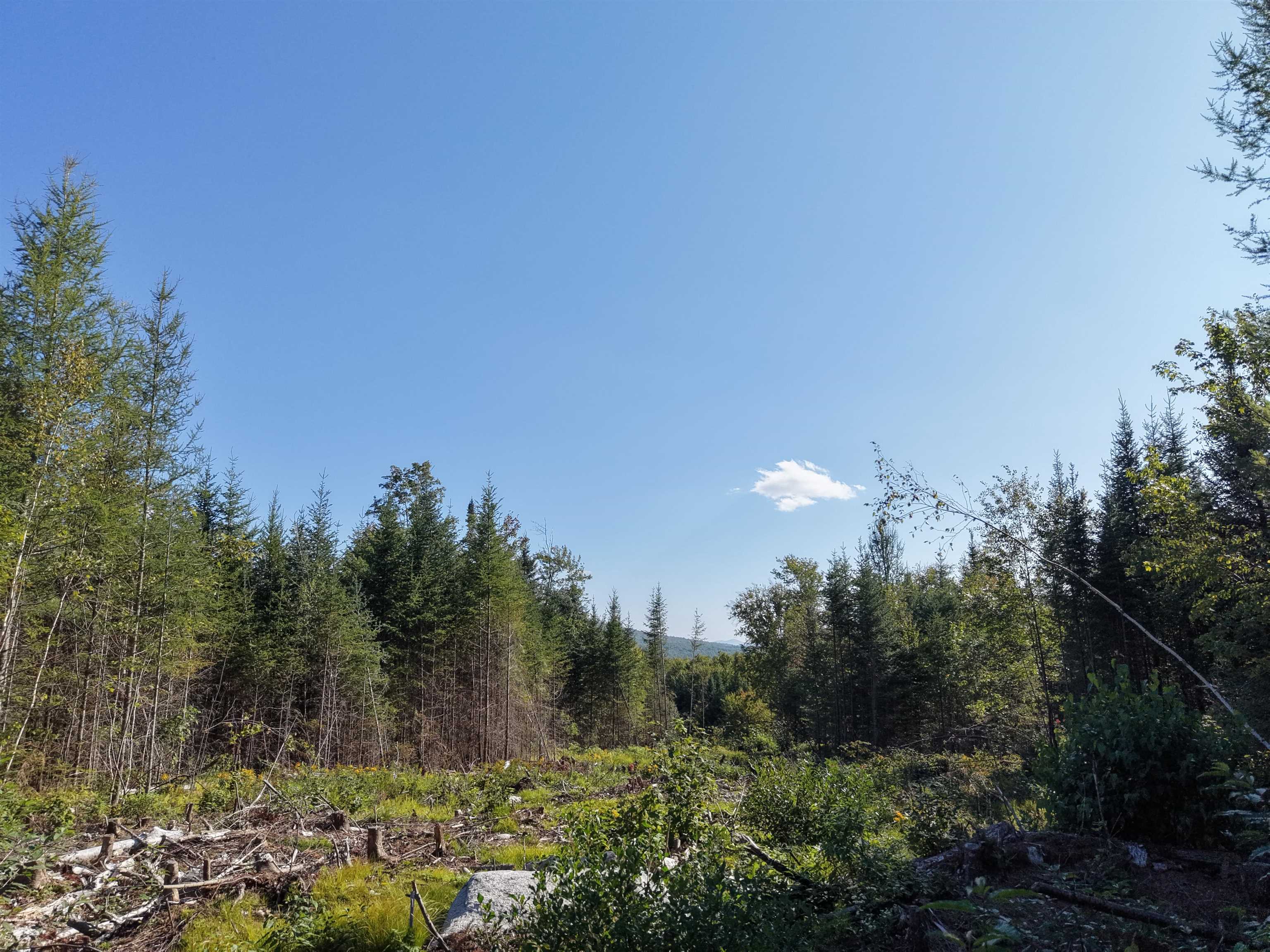 0000 Morin Road Property Photo 17