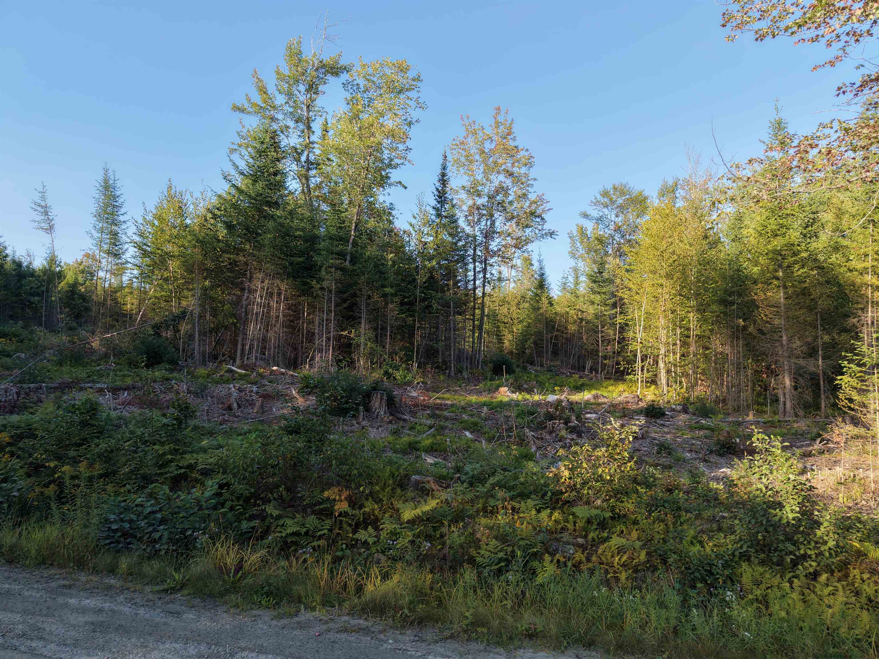0000 Morin Road Property Photo 18
