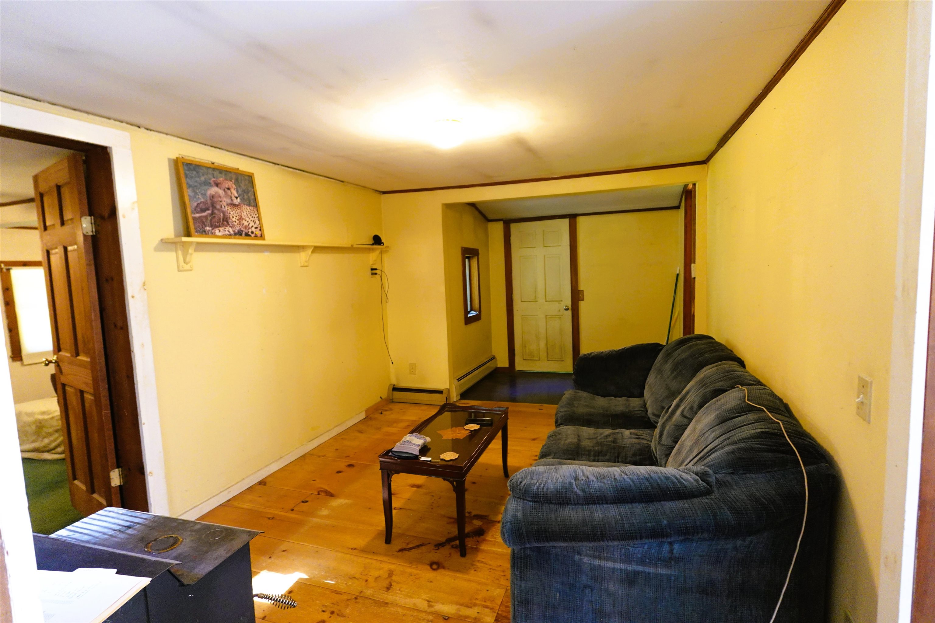 31 Watson Road Property Photo 17