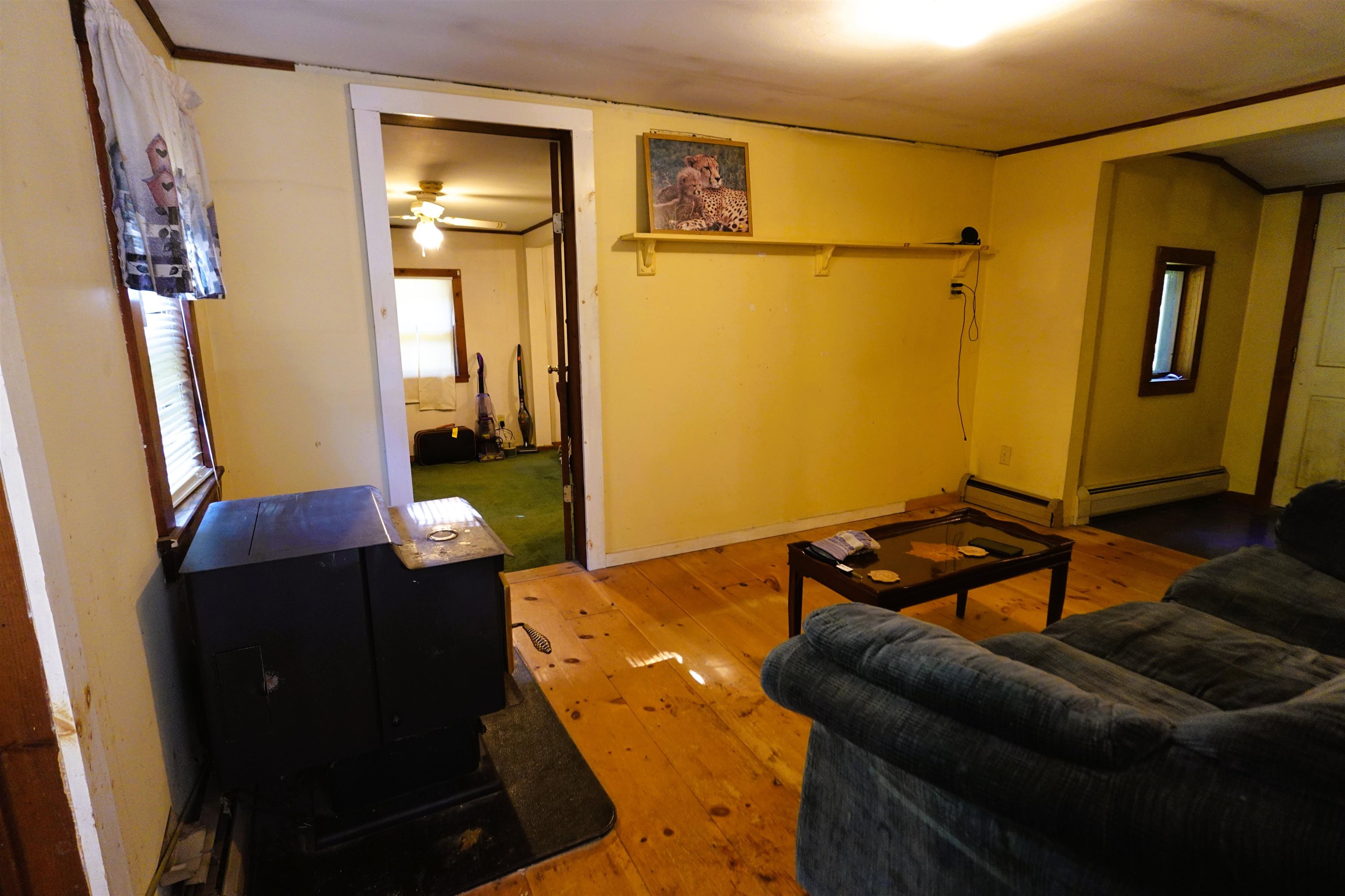 31 Watson Road Property Photo 24