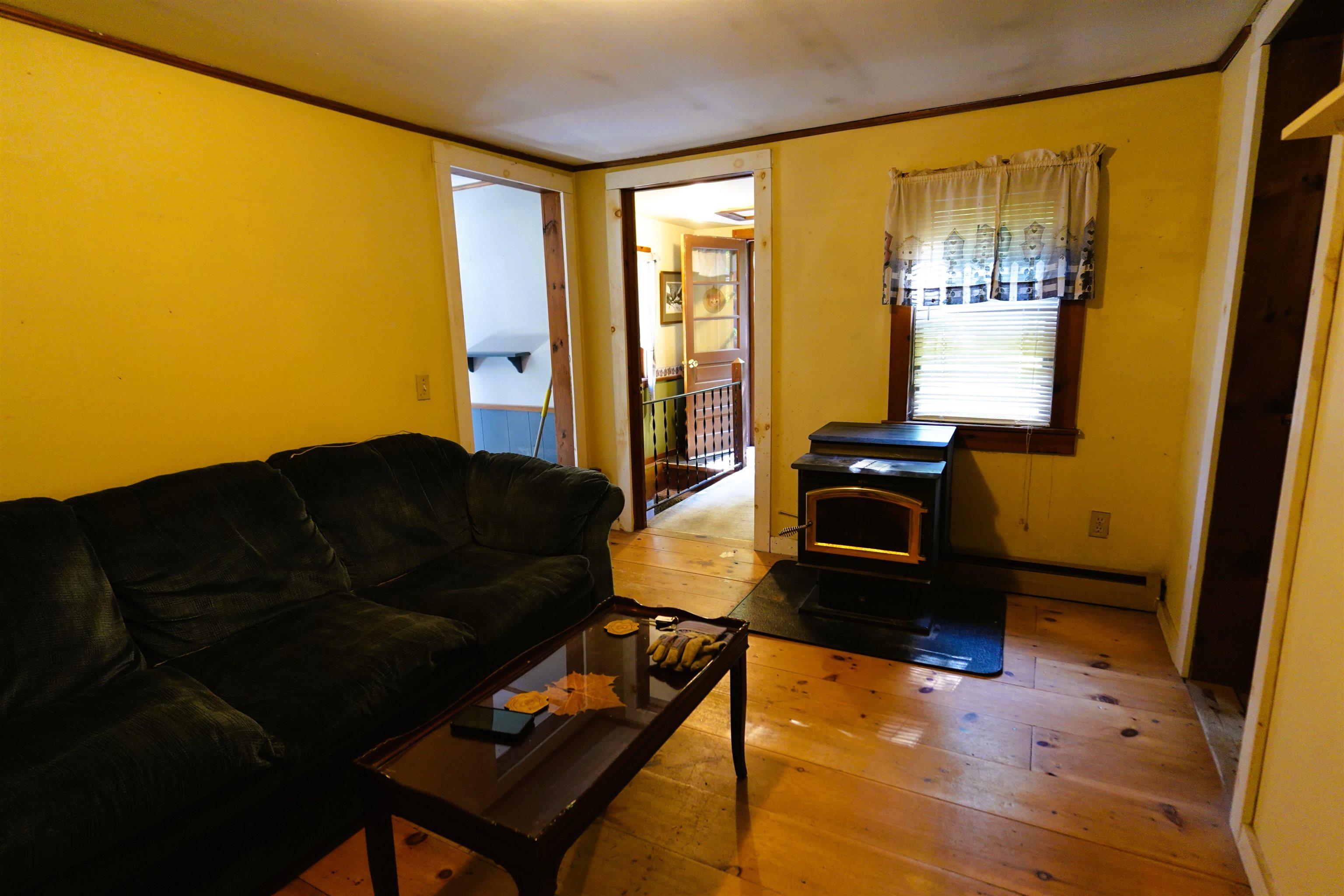 31 Watson Road Property Photo 29