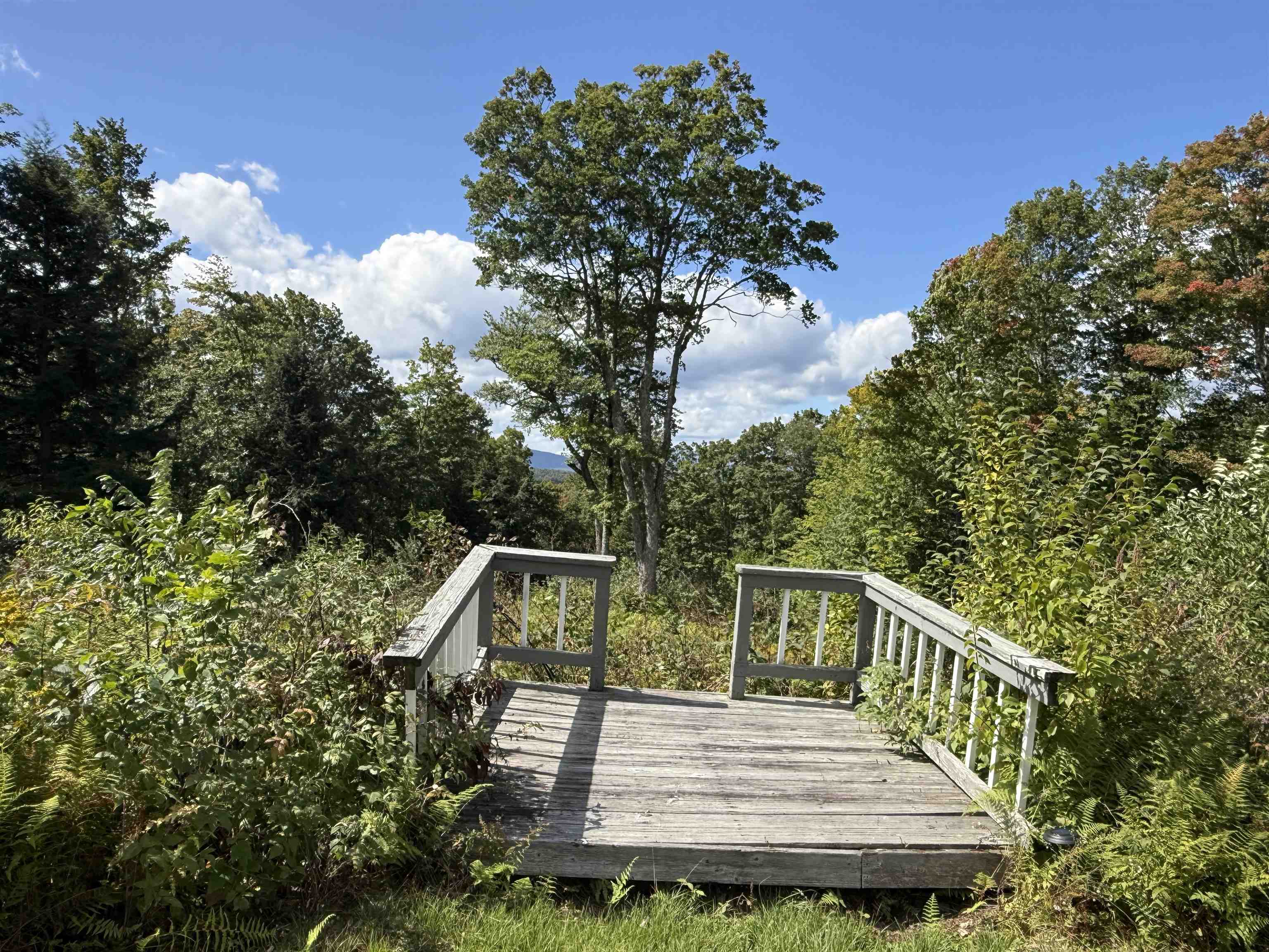 404 Woodland Drive Property Photo 4