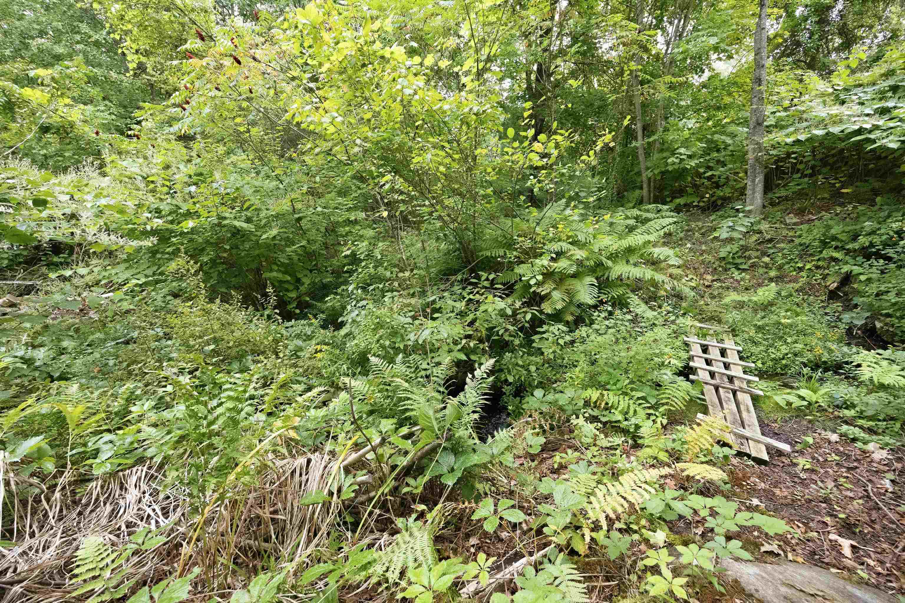 25 Old Route 25 Property Photo 30
