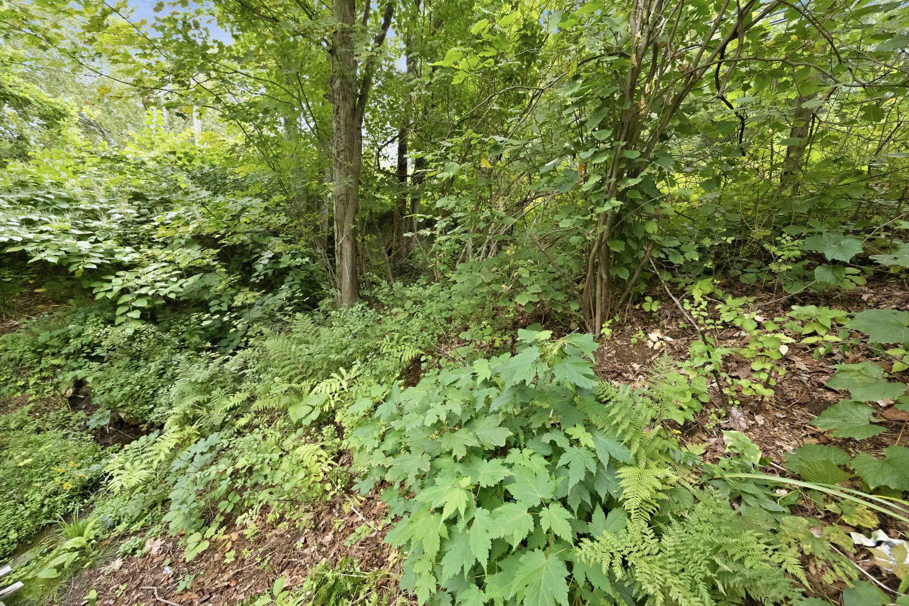 25 Old Route 25 Property Photo 31