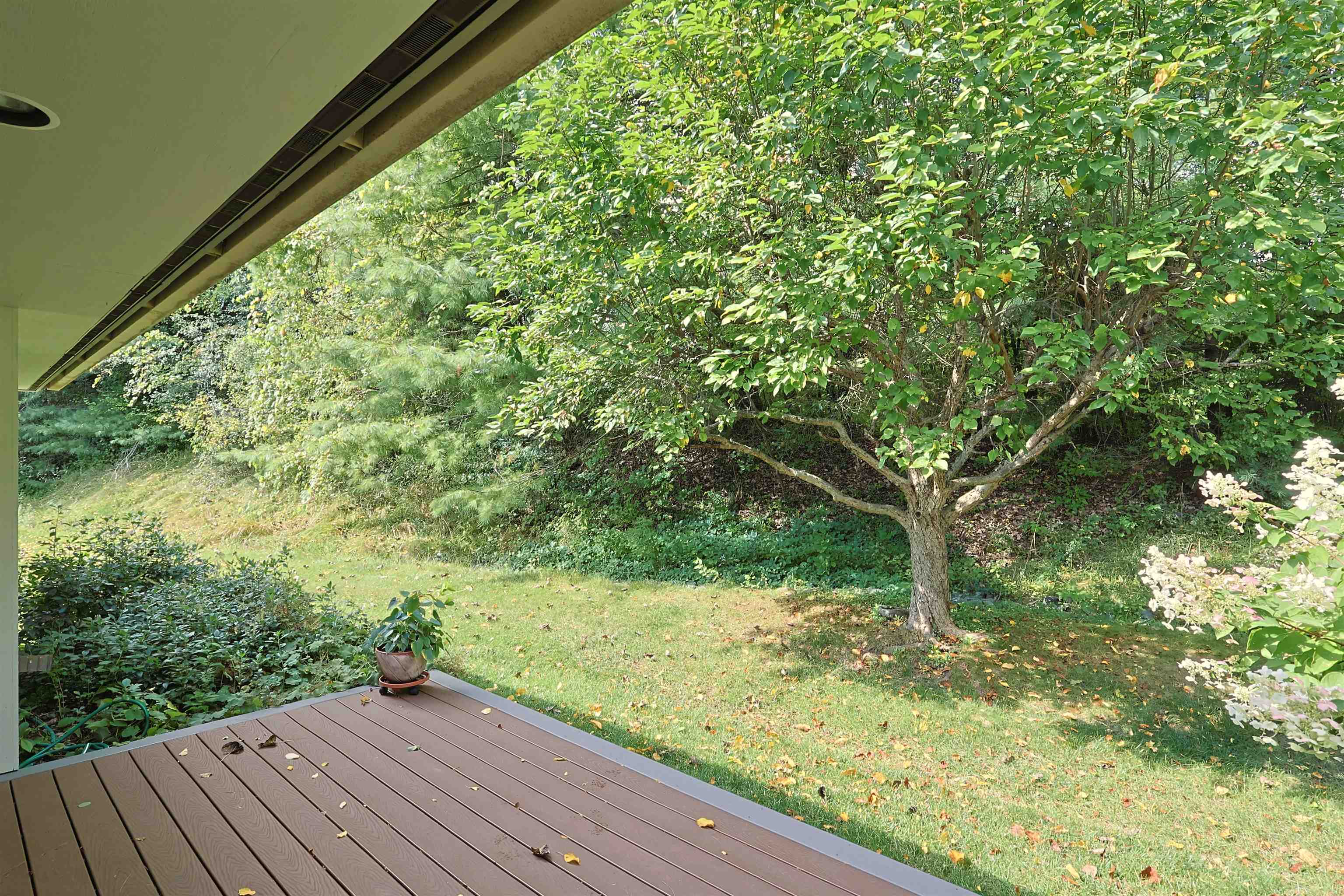 11 Cottage Court Property Photo 9
