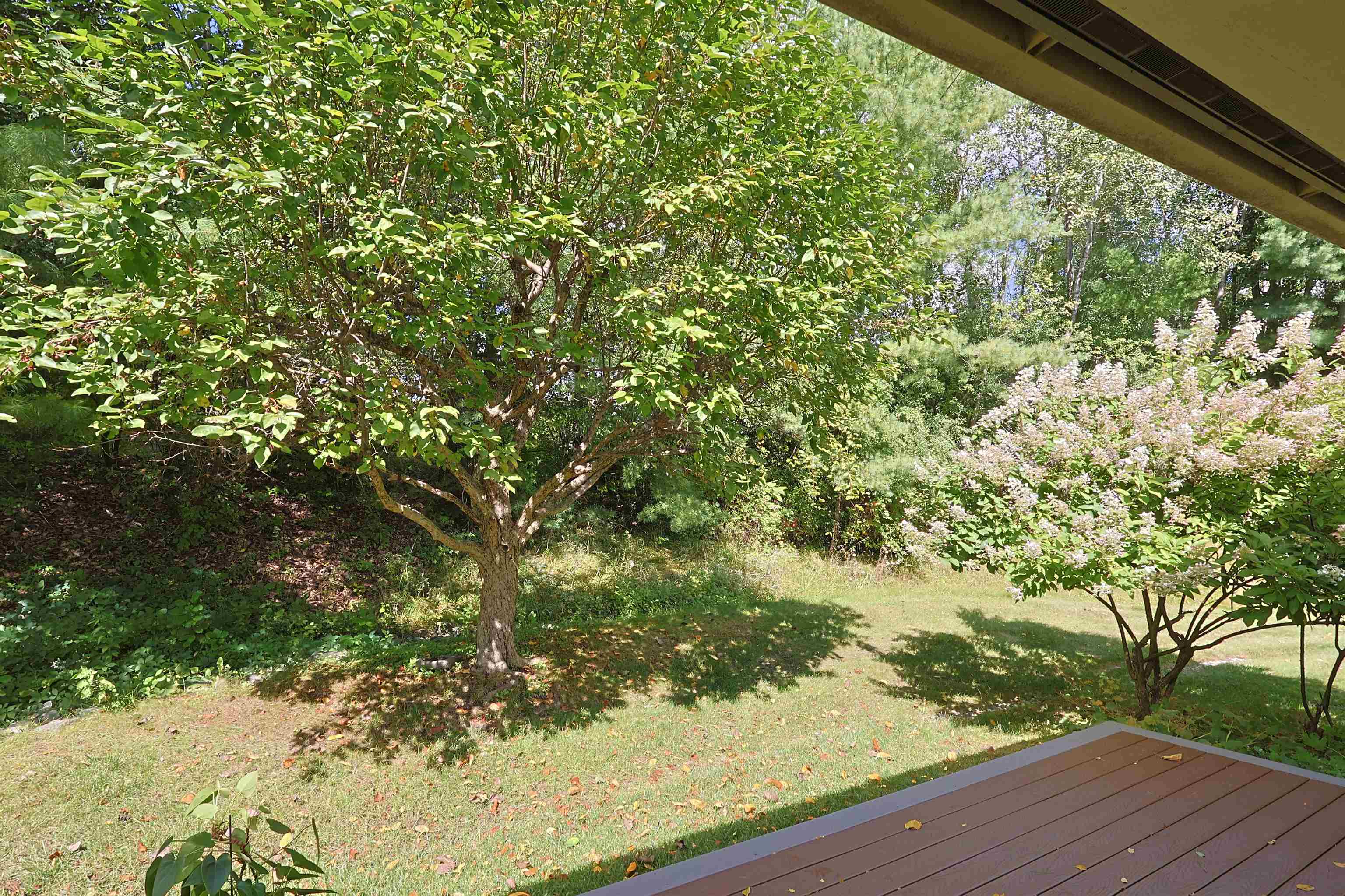 11 Cottage Court Property Photo 10