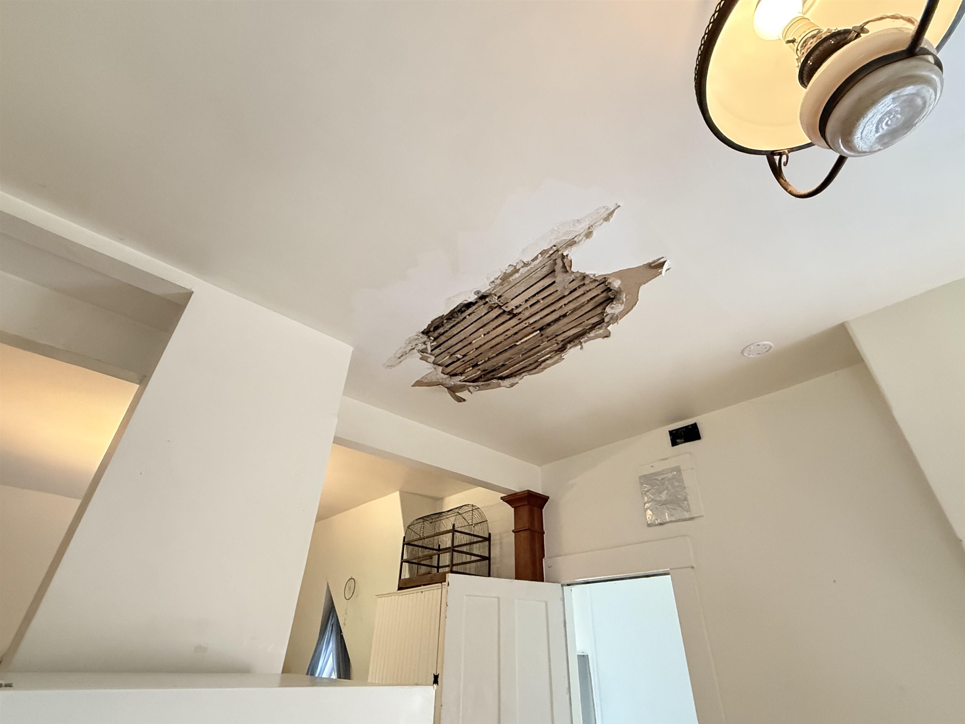 59 Highland Street Property Photo 23