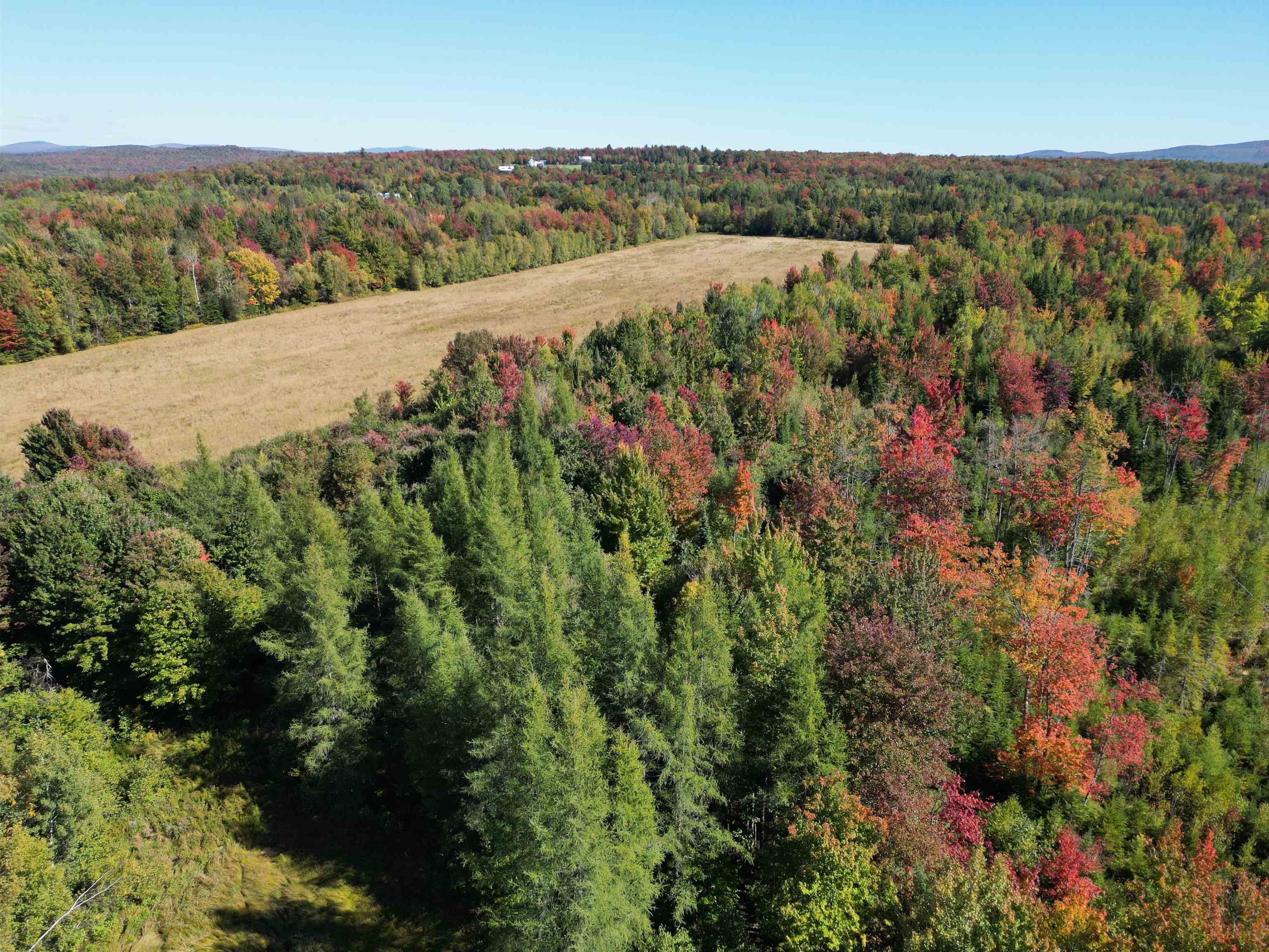 597 Chapdelaine Road Property Photo 8