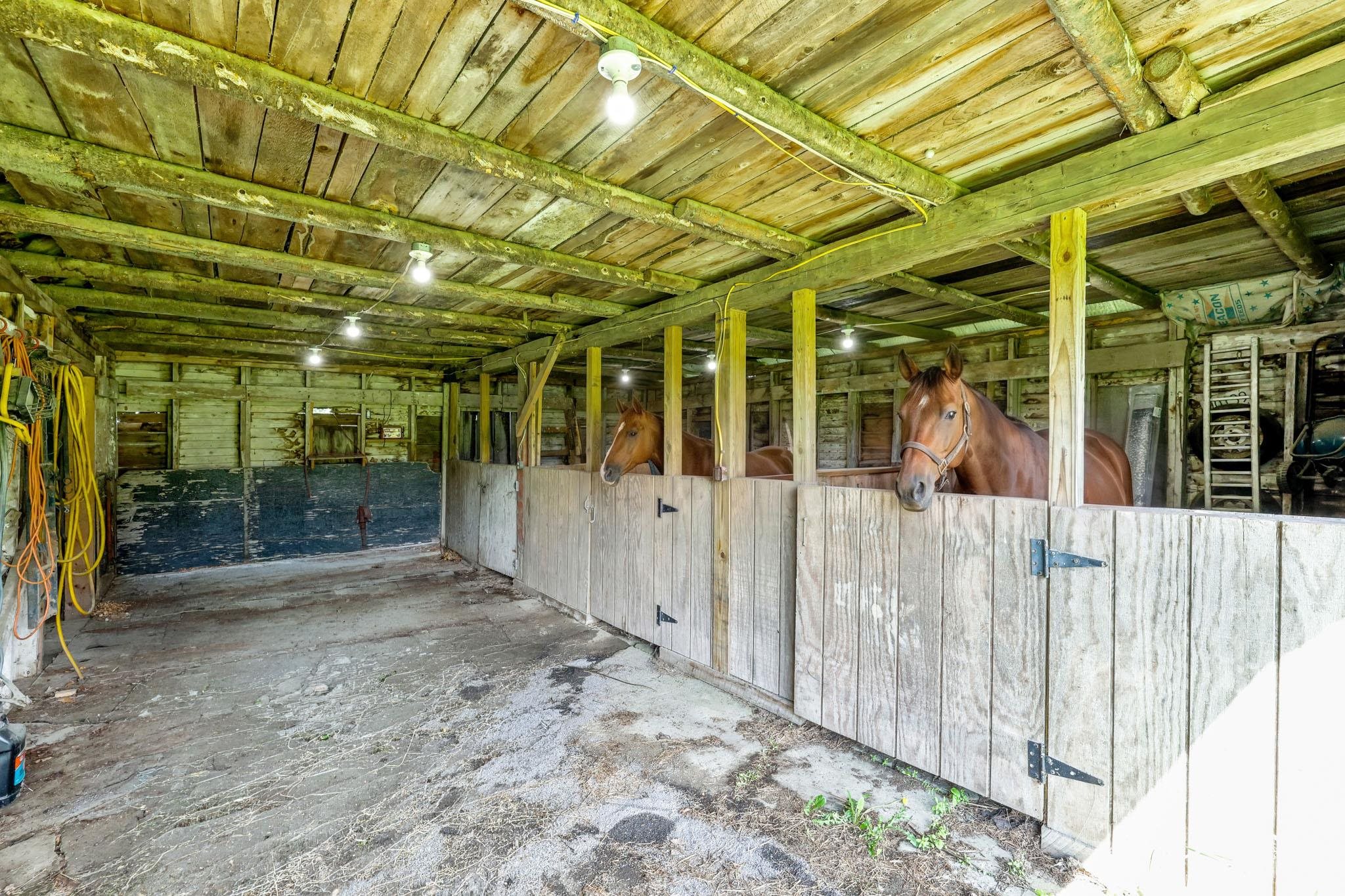 597 Chapdelaine Road Property Photo 12