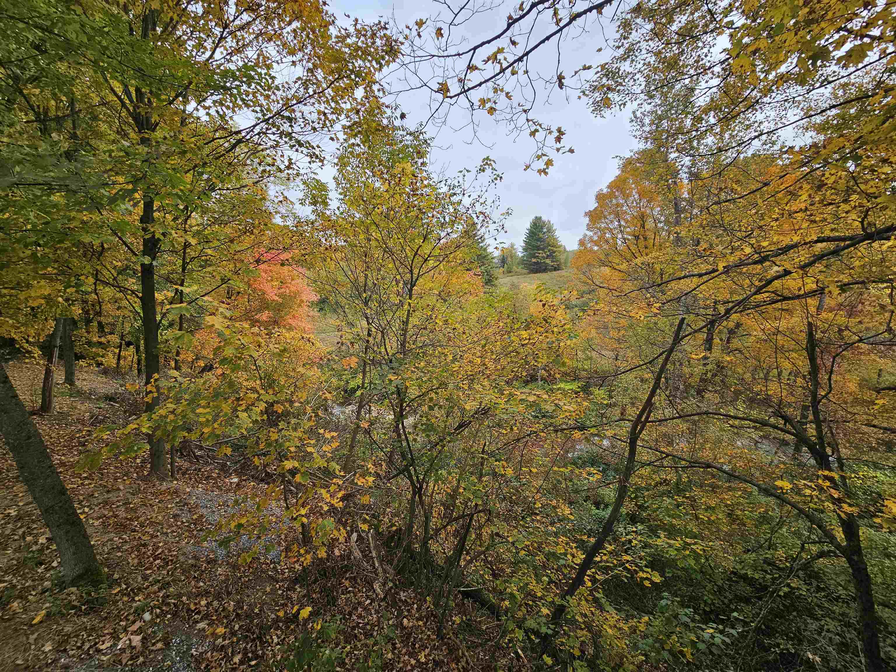396 Hazen Notch Road Property Photo 28