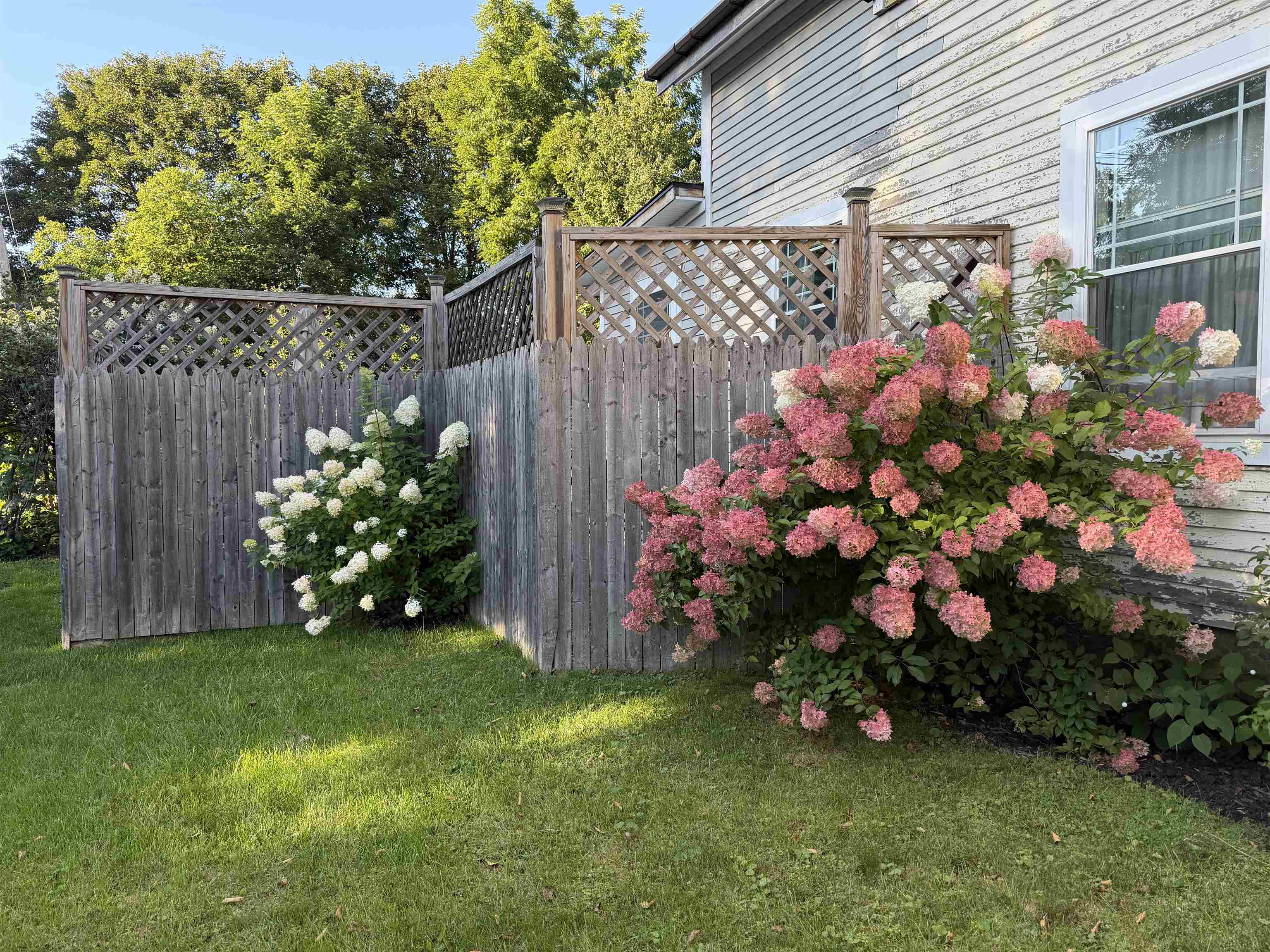59 Jackson Avenue Property Photo 21