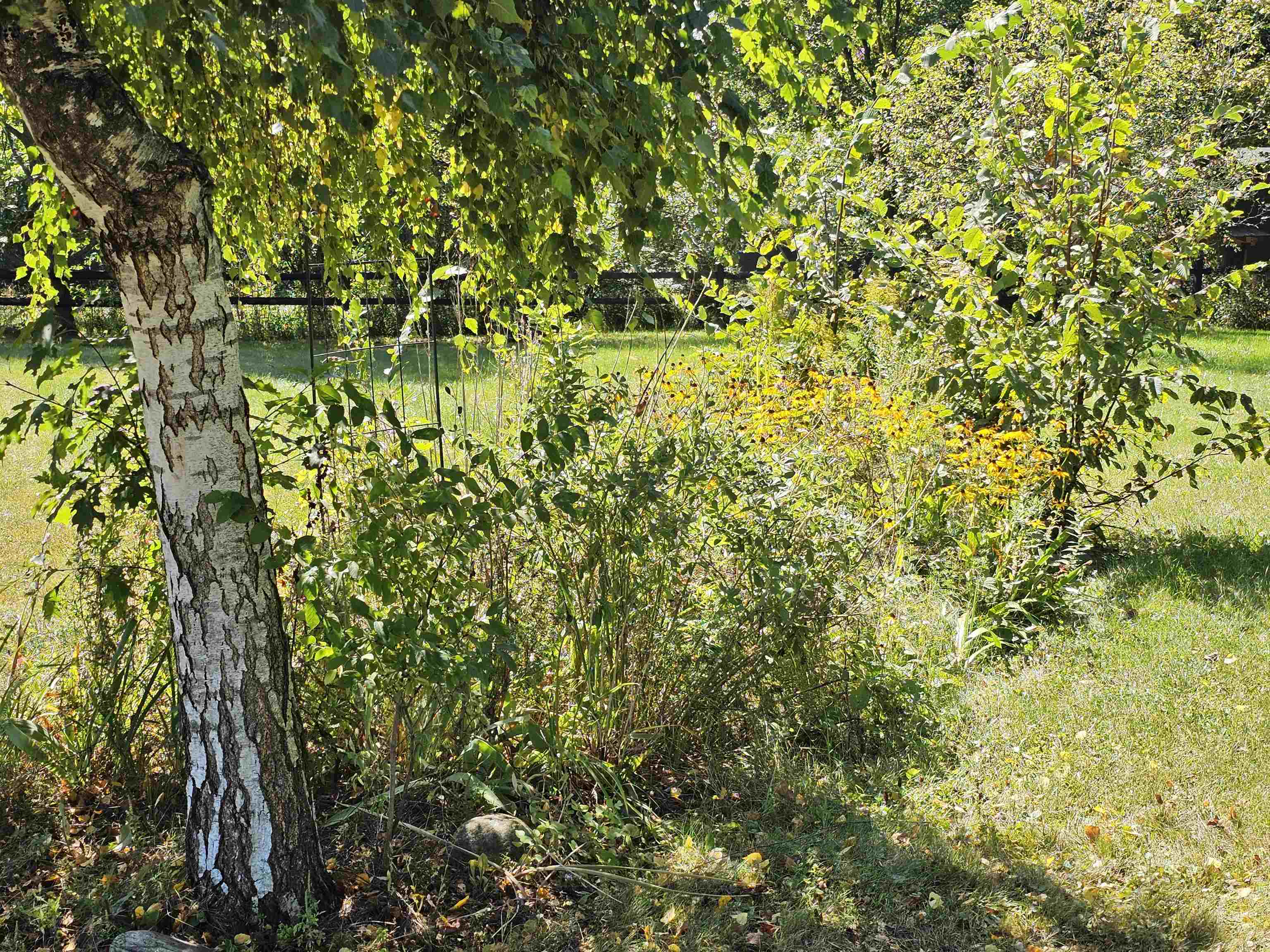 4838 Monkton Road Property Photo 8