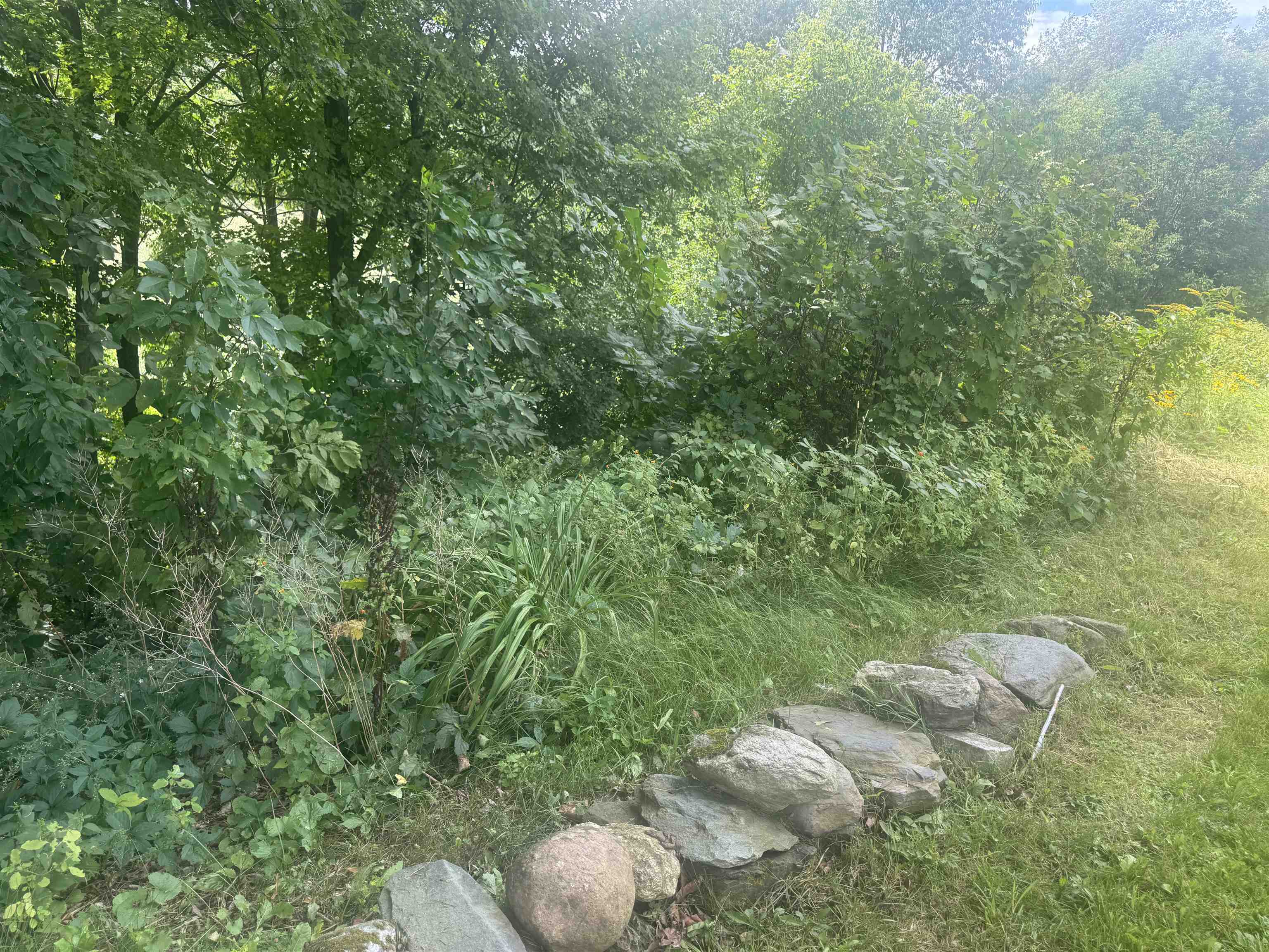 1402 Montgomery Road Property Photo 18