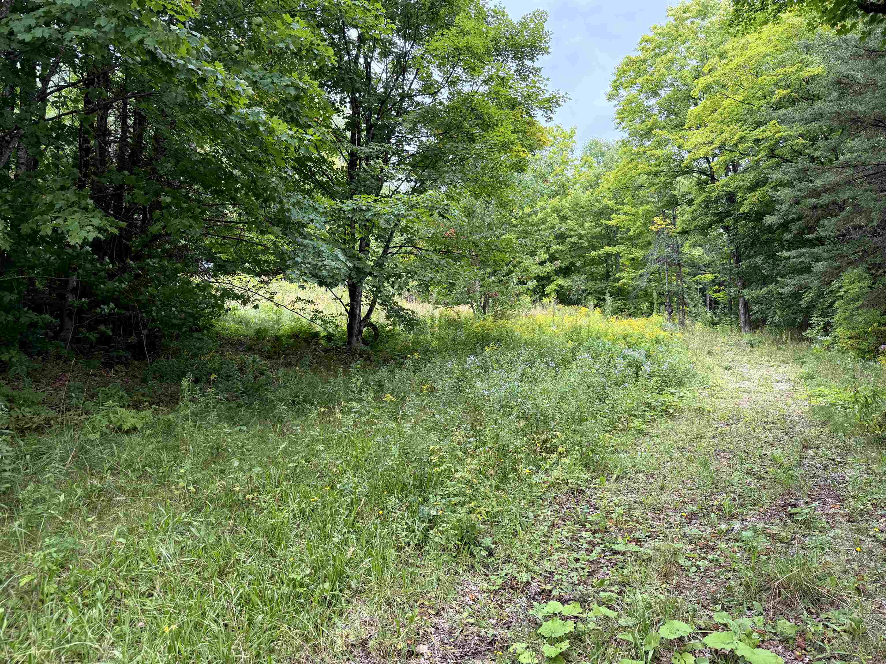 4716 Route 5 Property Photo 1