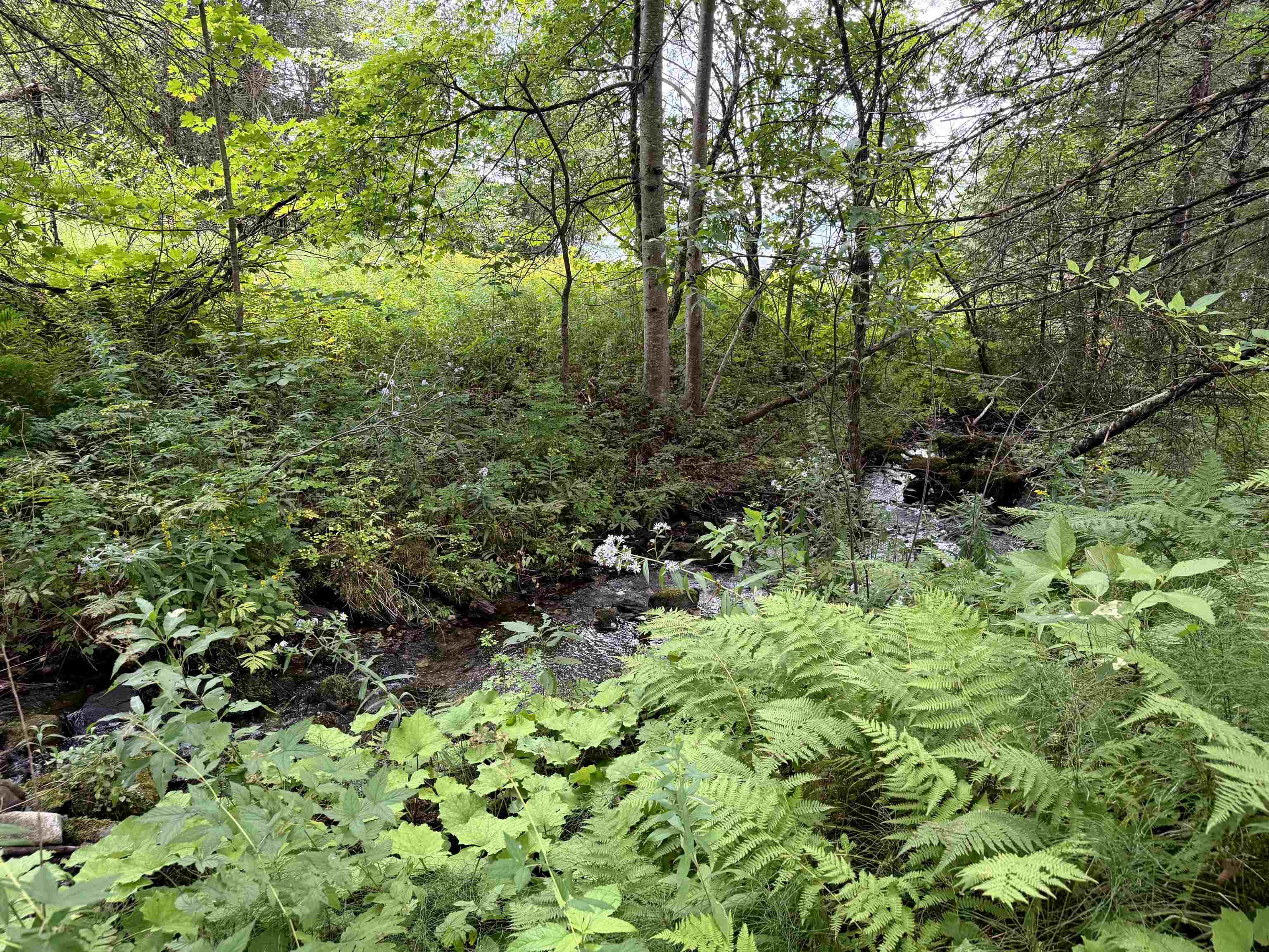 4716 Route 5 Property Photo 2