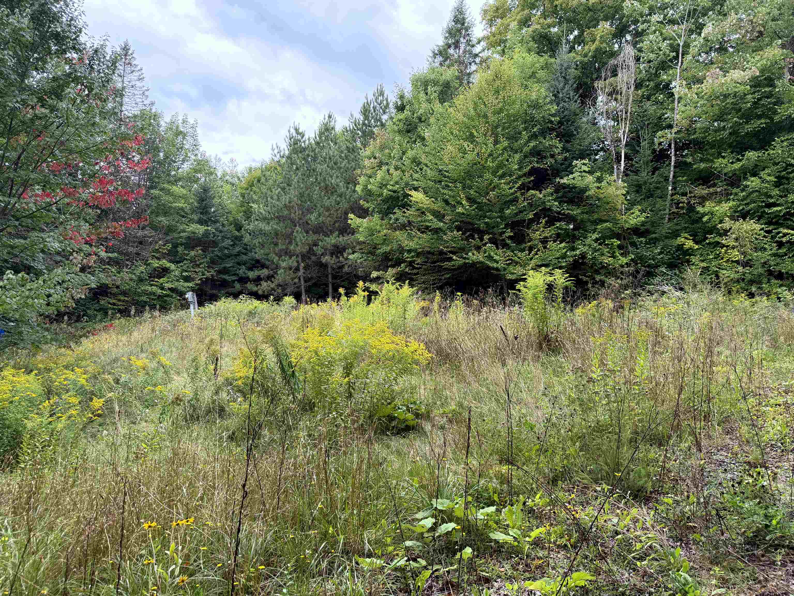4716 Route 5 Property Photo 3