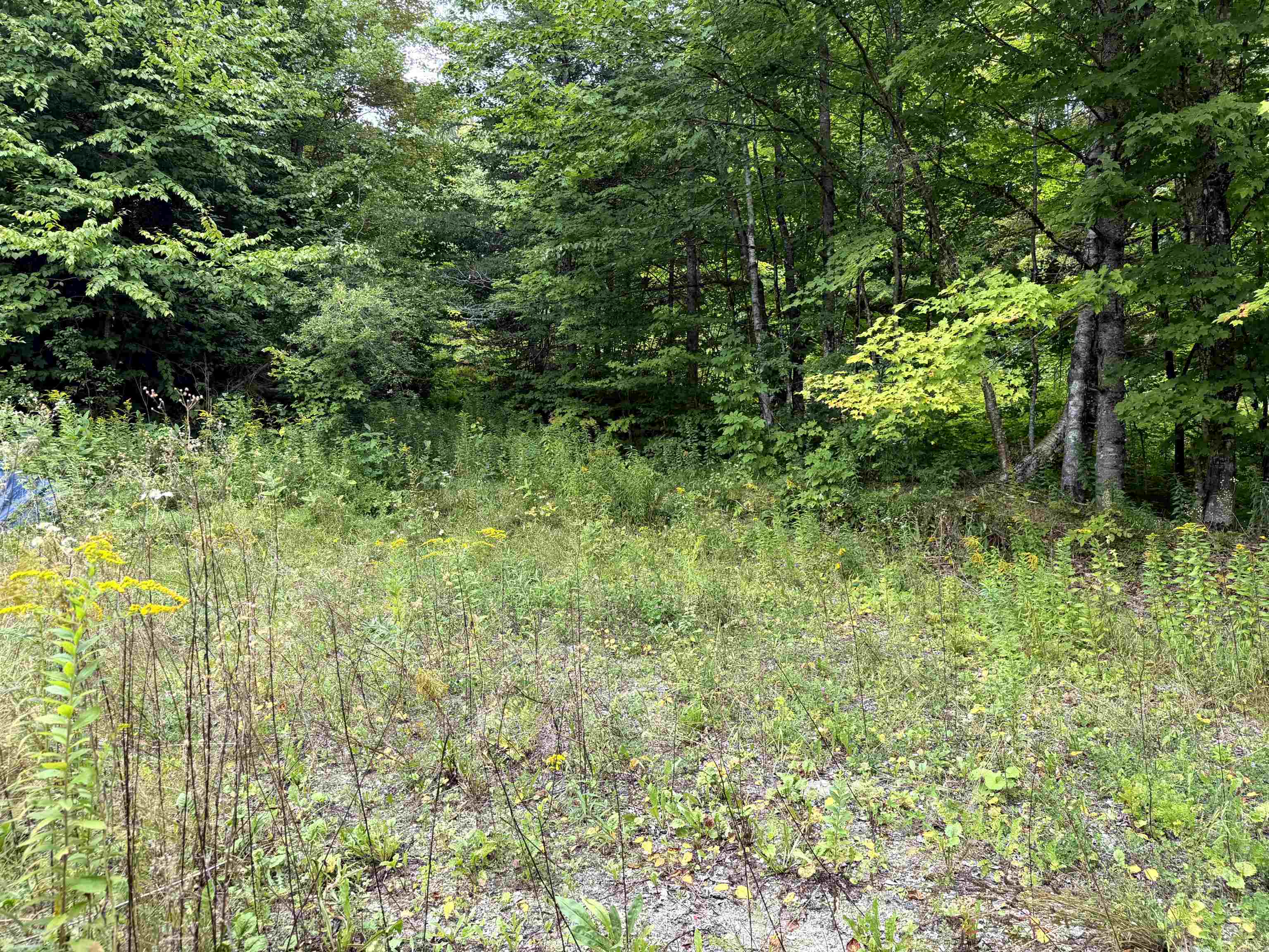 4716 Route 5 Property Photo 4