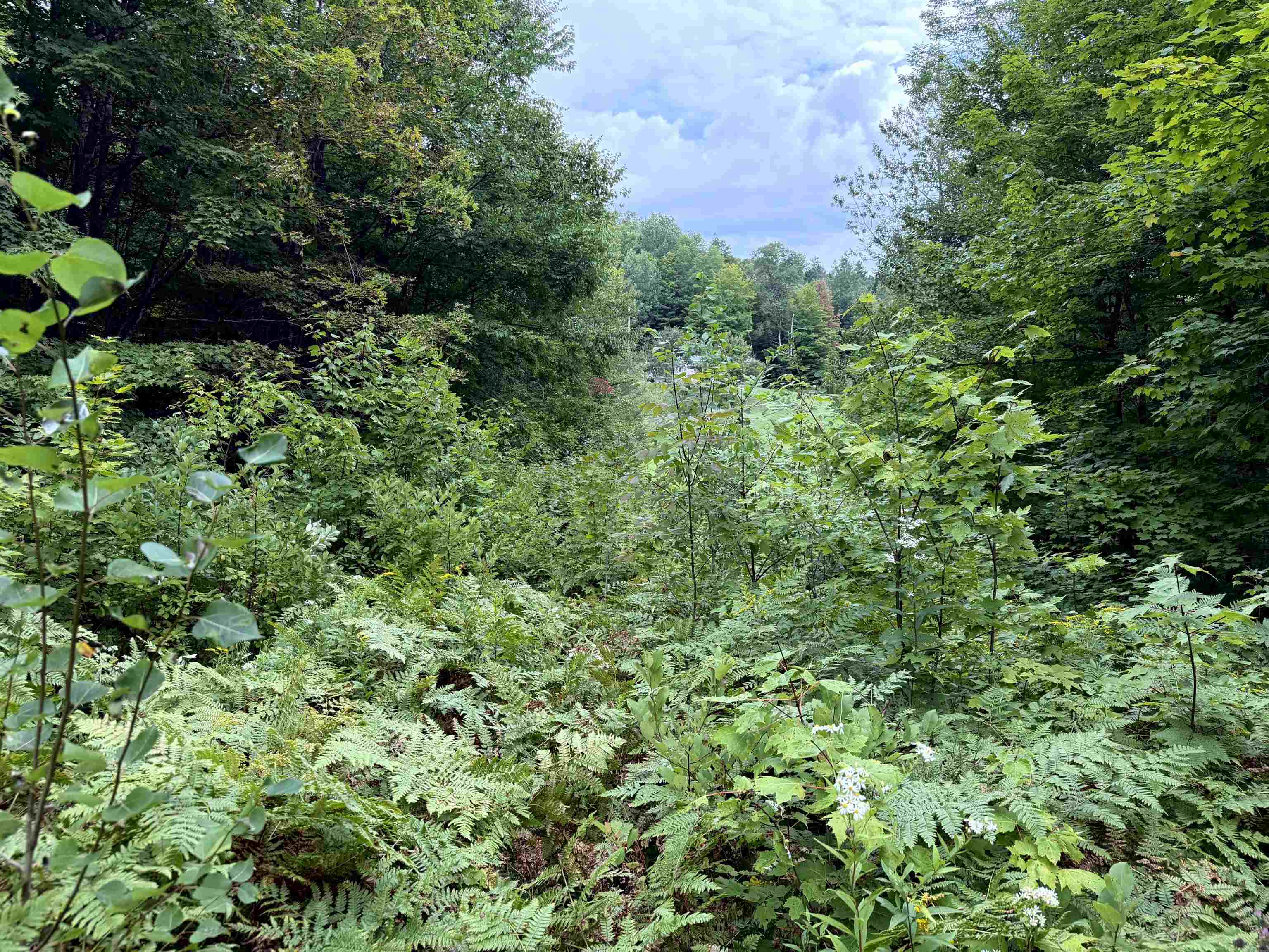 4716 Route 5 Property Photo 7