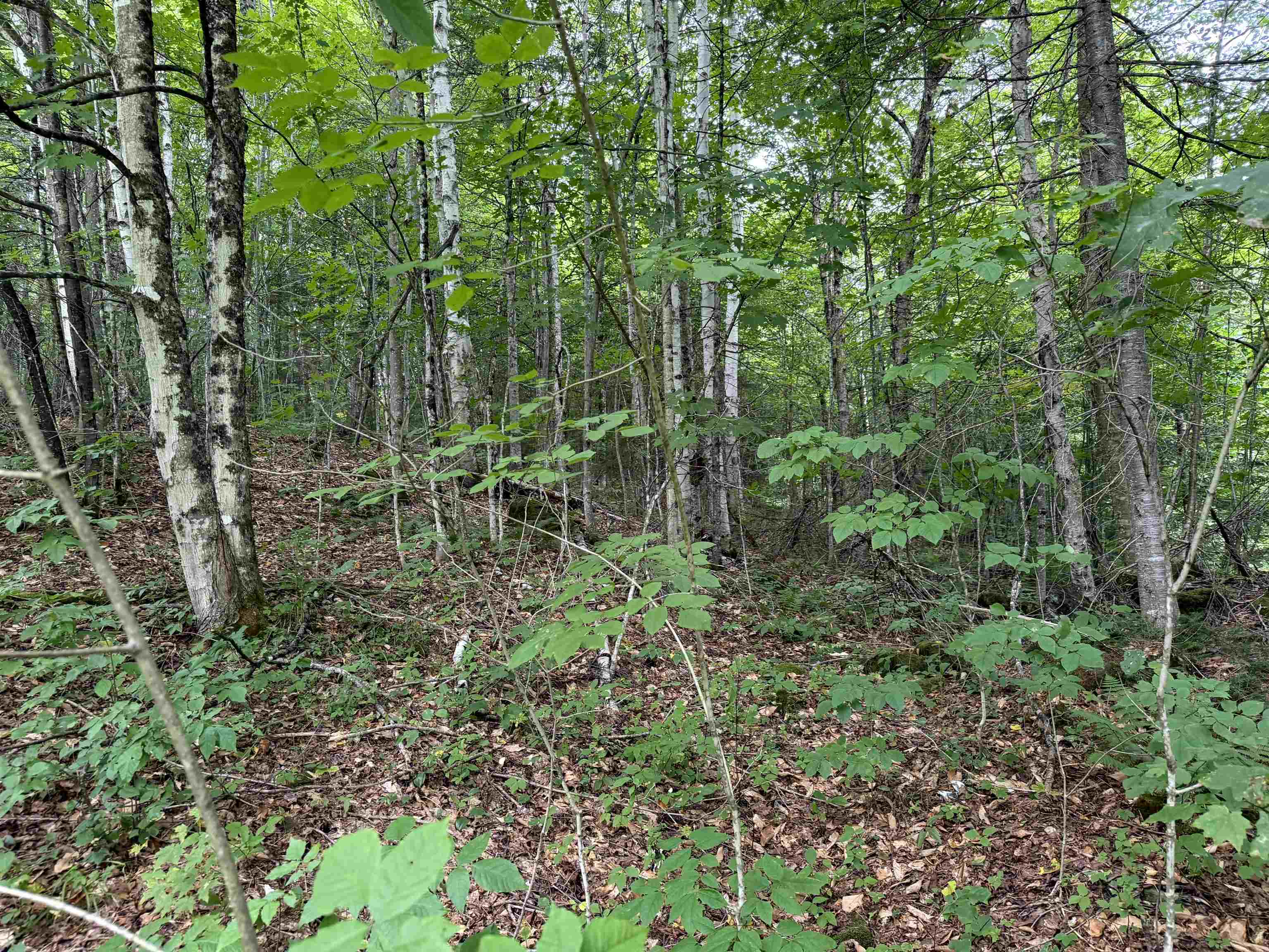 4716 Route 5 Property Photo 8