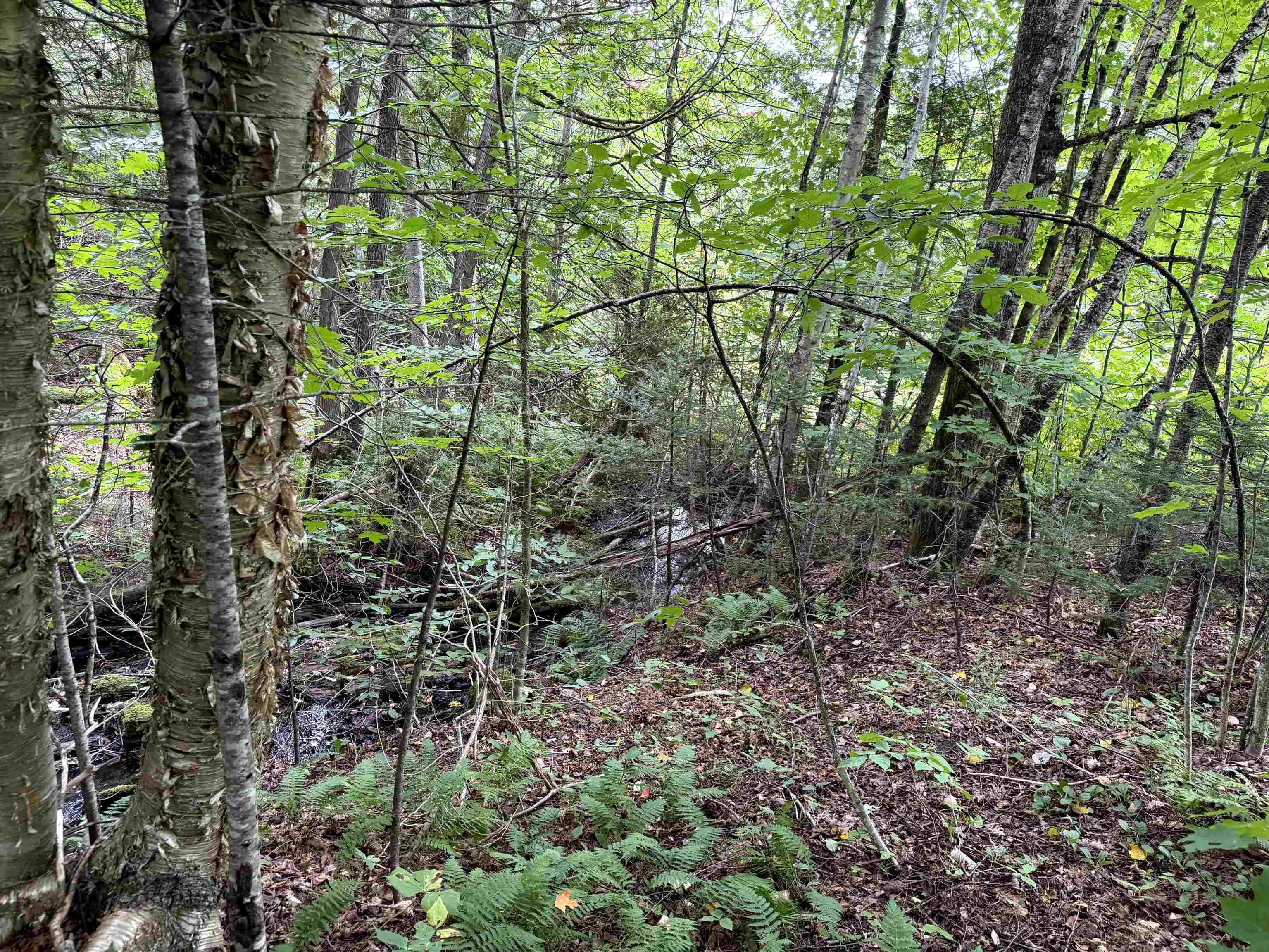 4716 Route 5 Property Photo 9