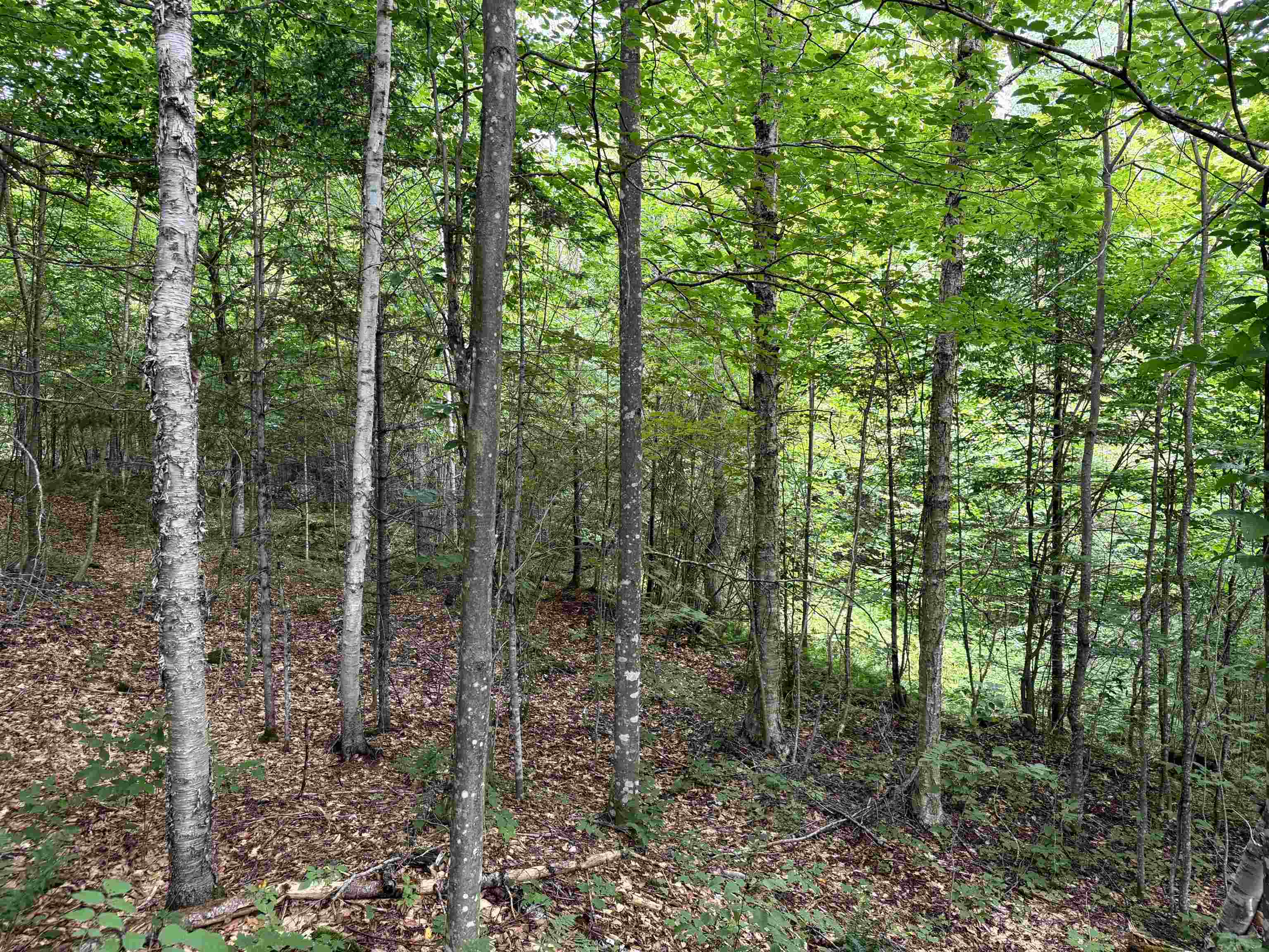 4716 Route 5 Property Photo 10