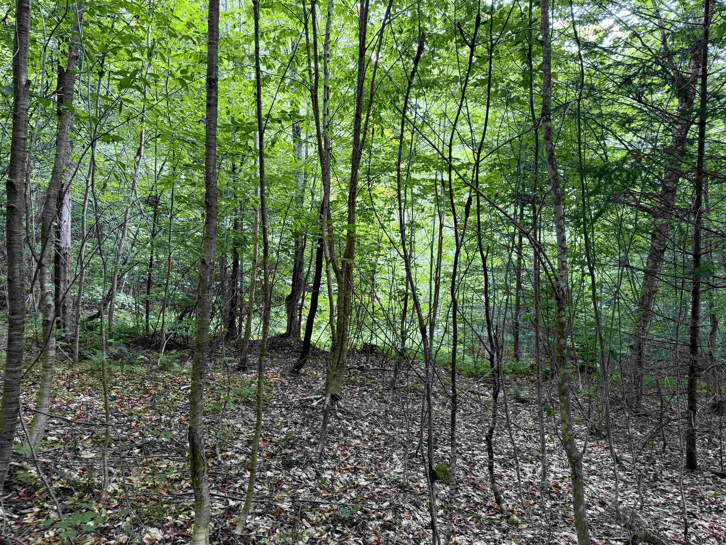 4716 Route 5 Property Photo 11