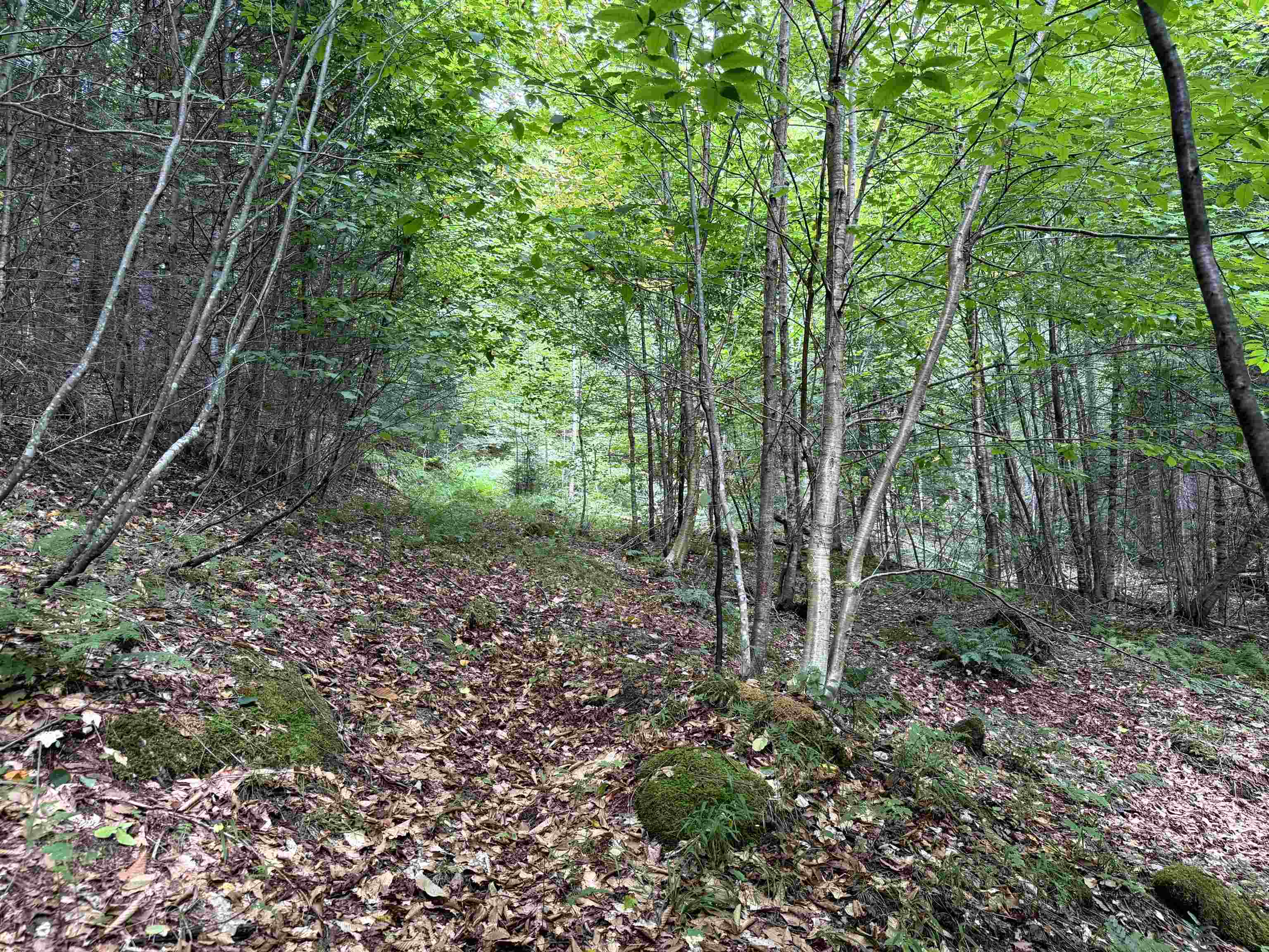 4716 Route 5 Property Photo 12