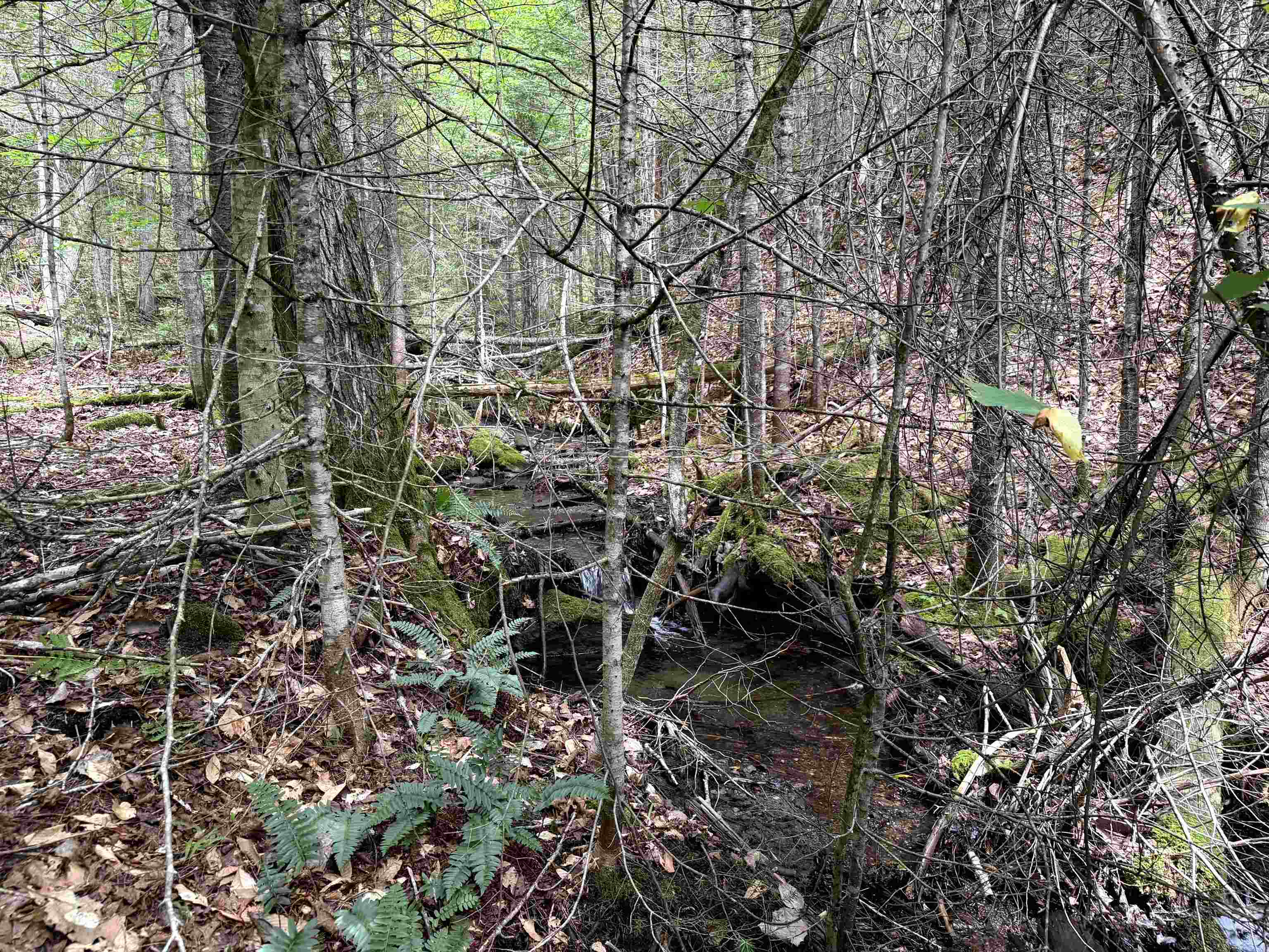4716 Route 5 Property Photo 13