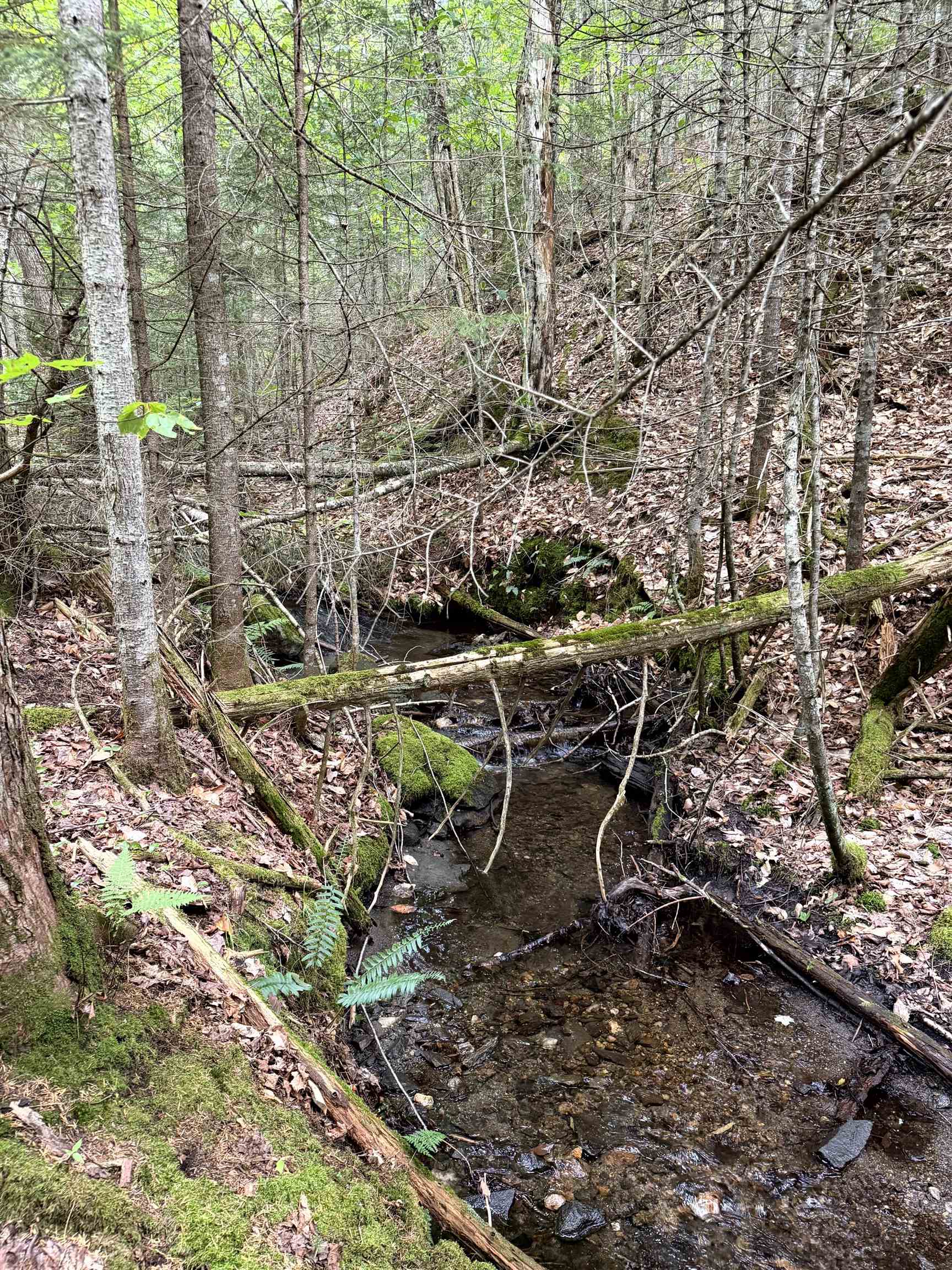 4716 Route 5 Property Photo 14