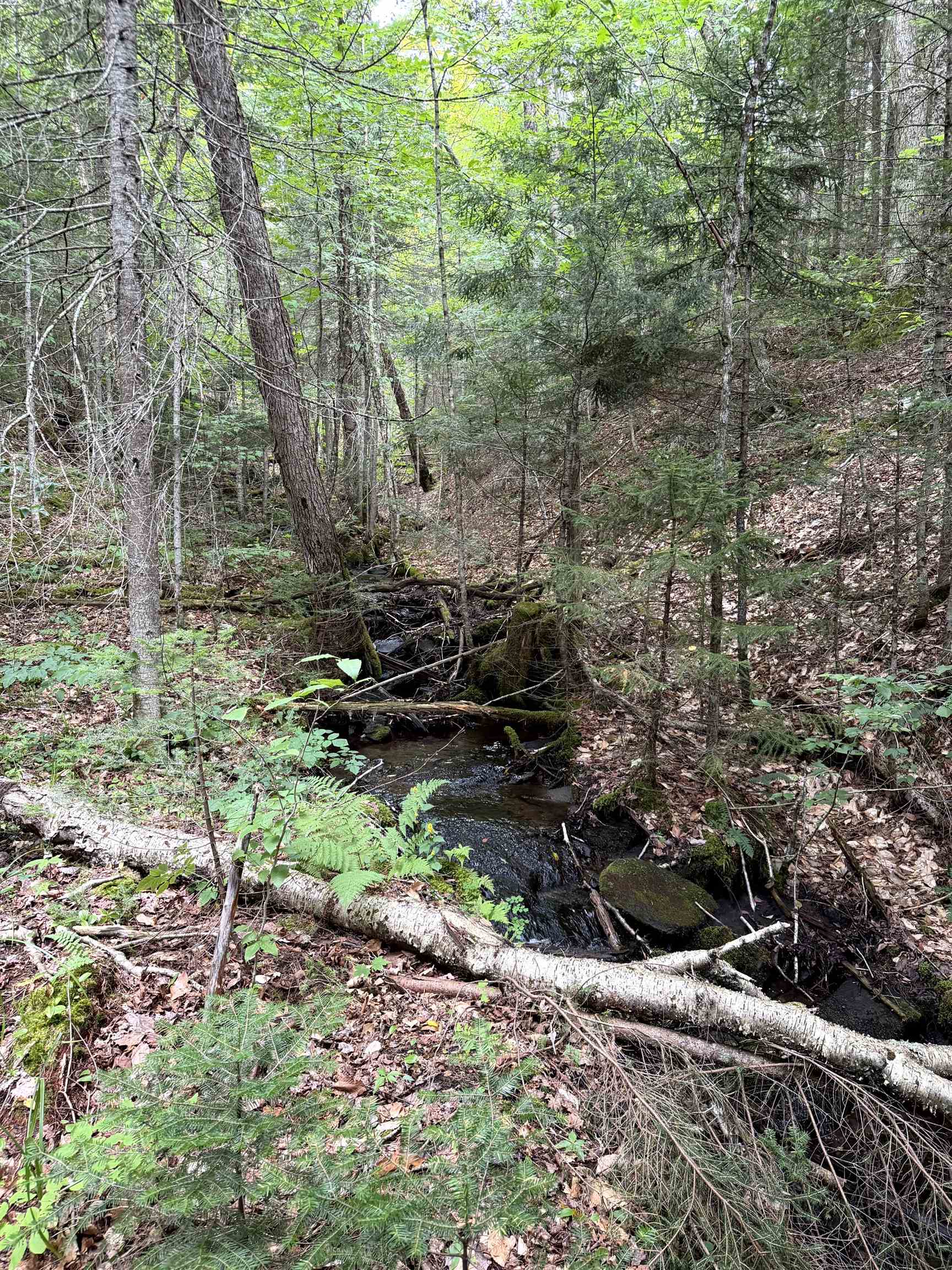 4716 Route 5 Property Photo 15