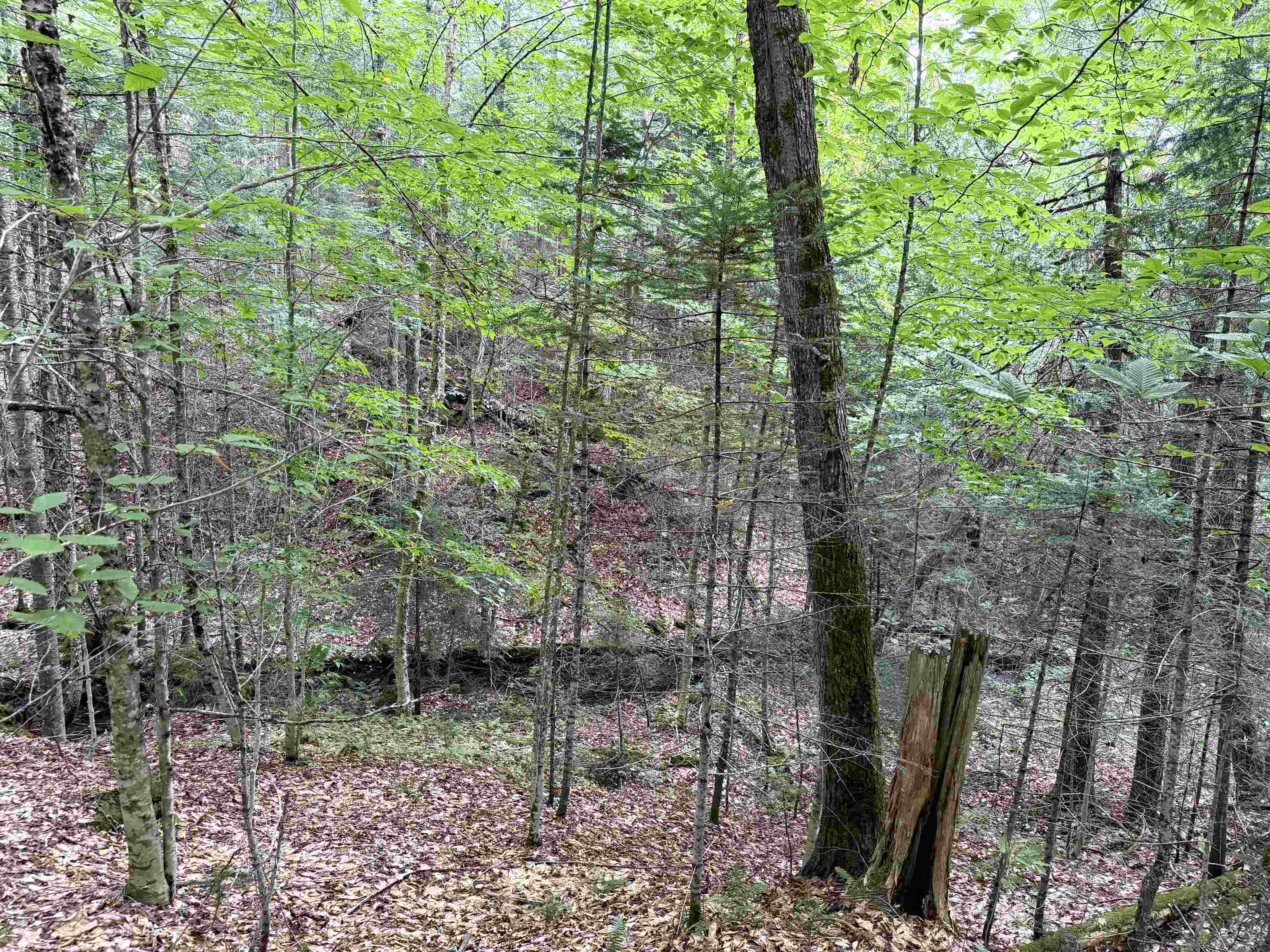 4716 Route 5 Property Photo 16