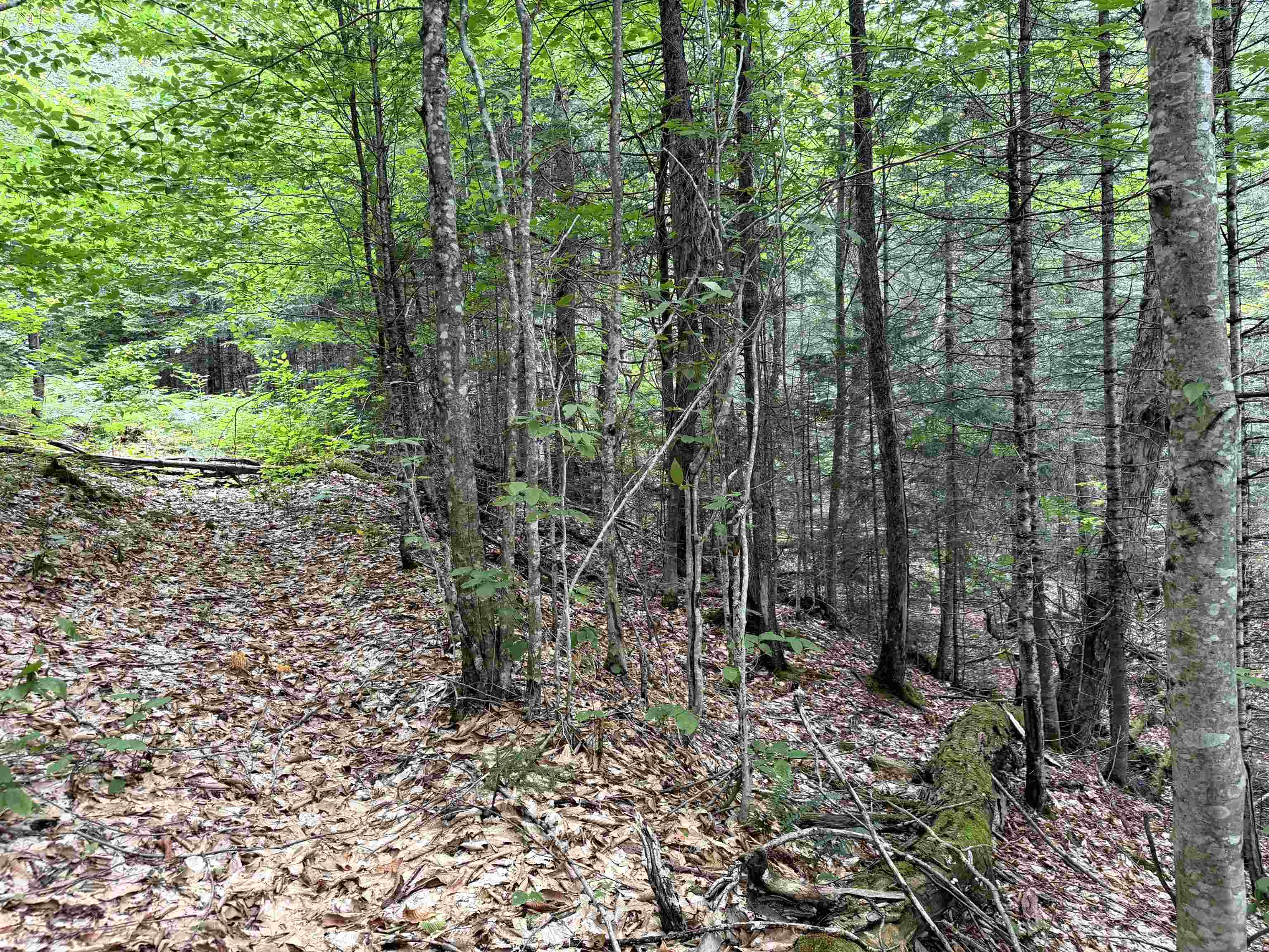 4716 Route 5 Property Photo 17