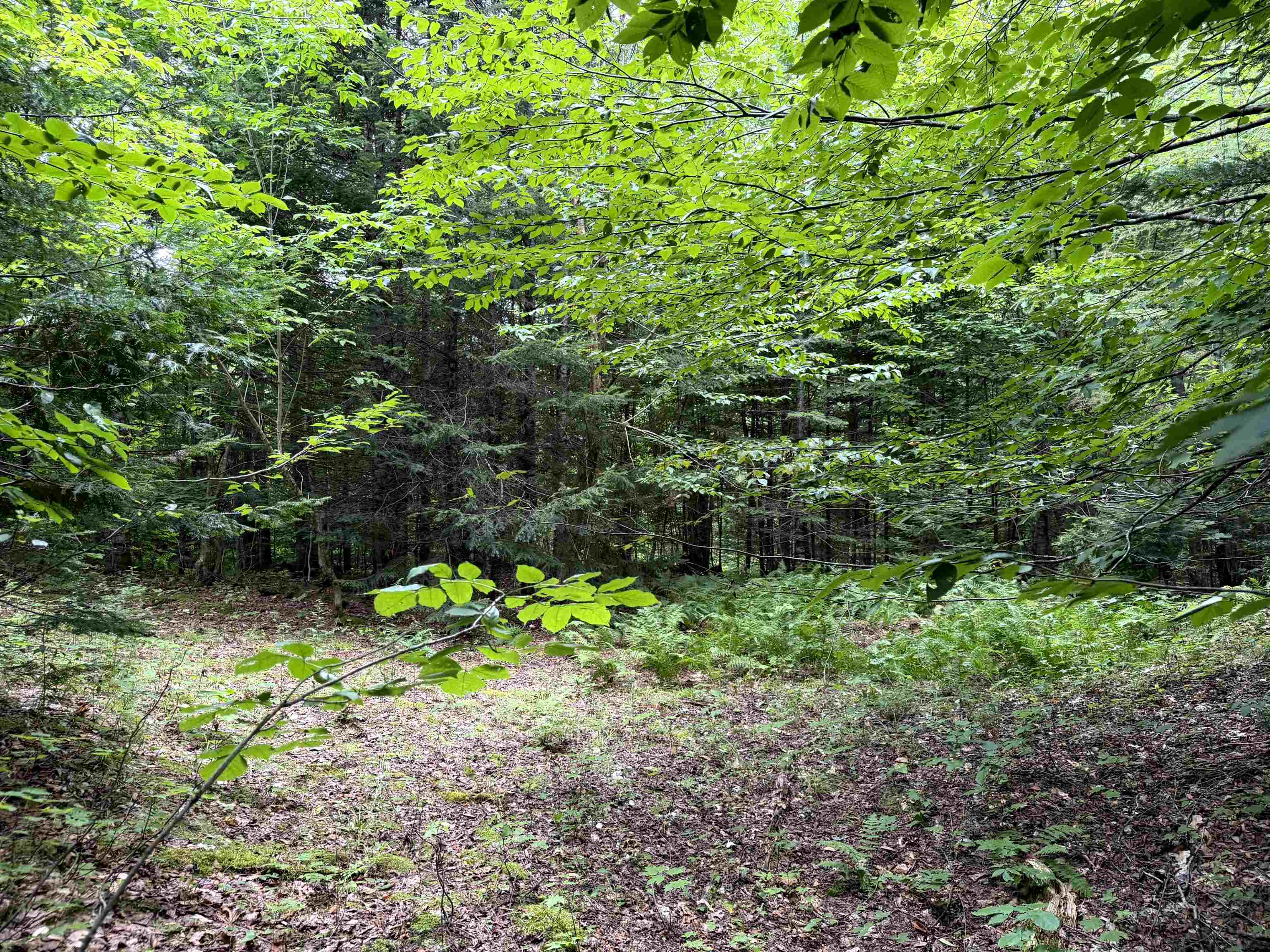 4716 Route 5 Property Photo 19