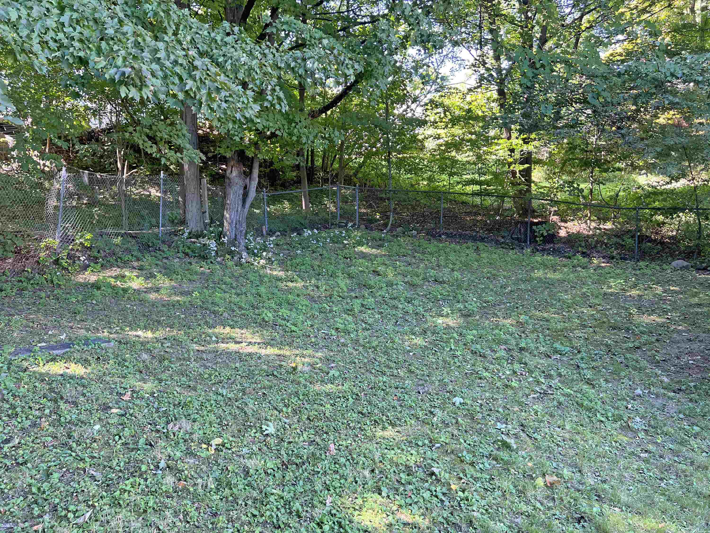 41 Organ Street Property Photo 4