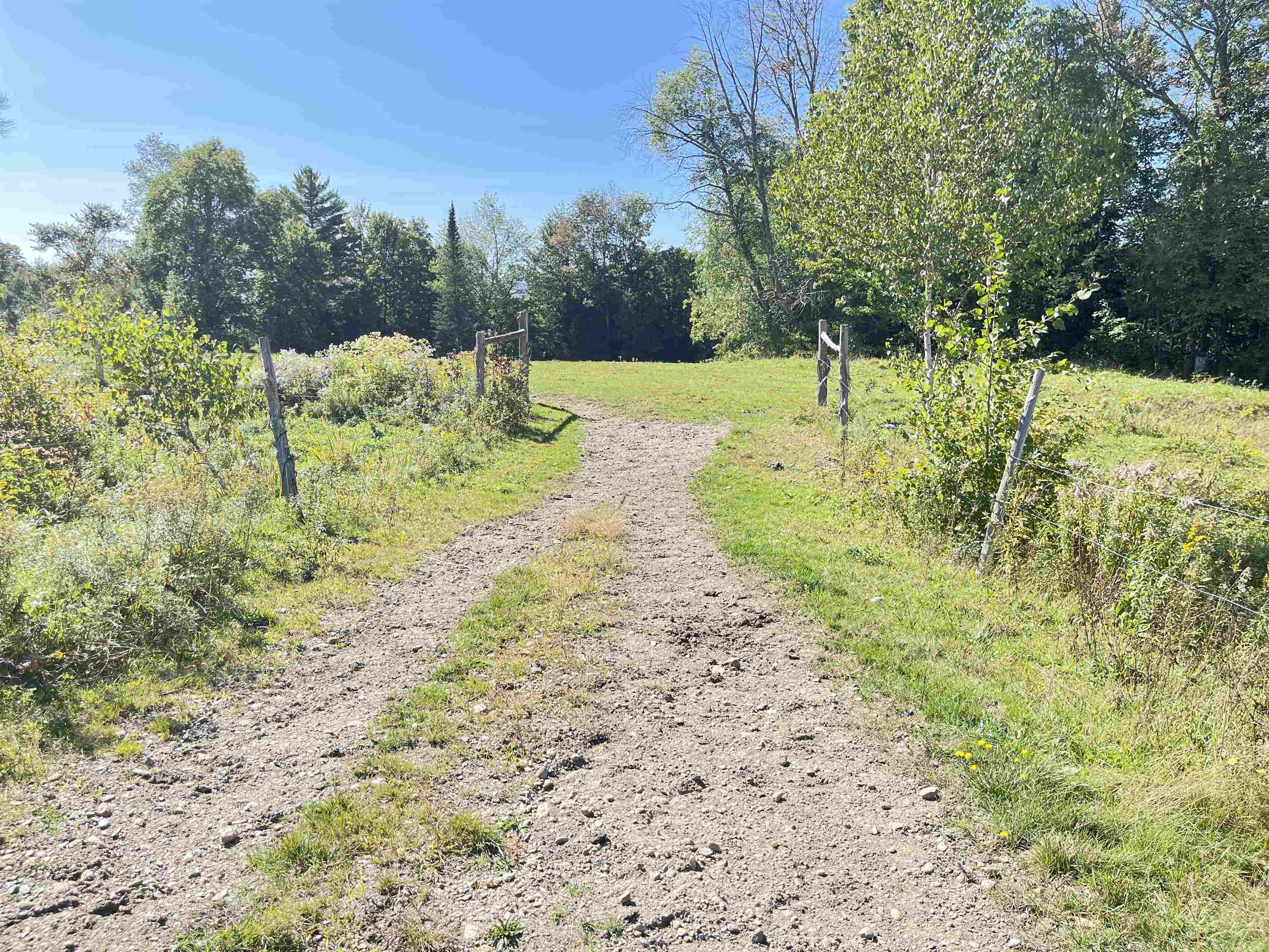 0 Vt Rt 100 Property Photo 4