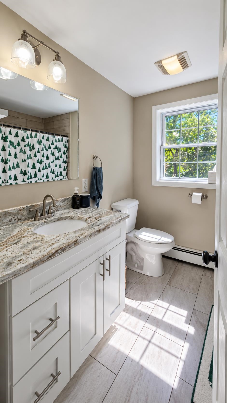 107 Mountain Road Property Photo 22