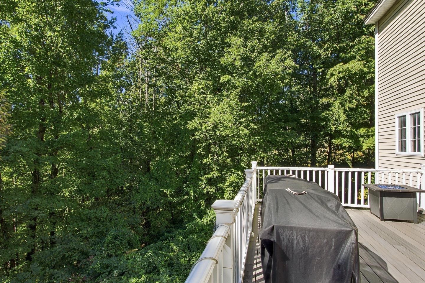 107 Mountain Road Property Photo 36