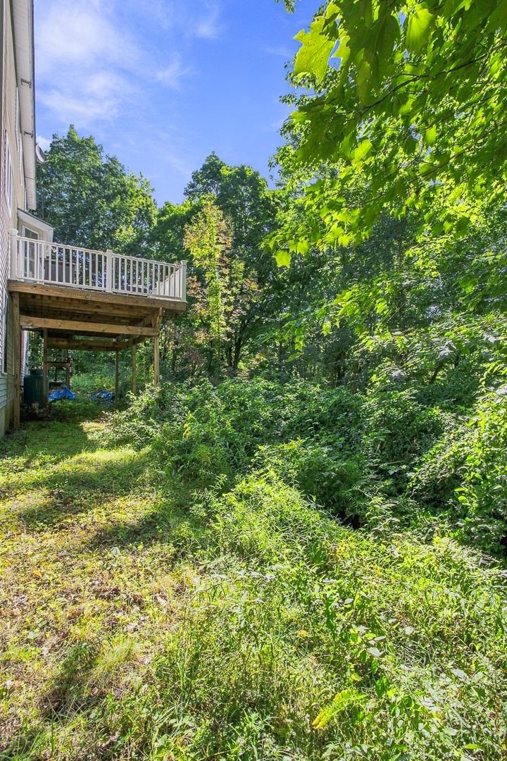 107 Mountain Road Property Photo 45