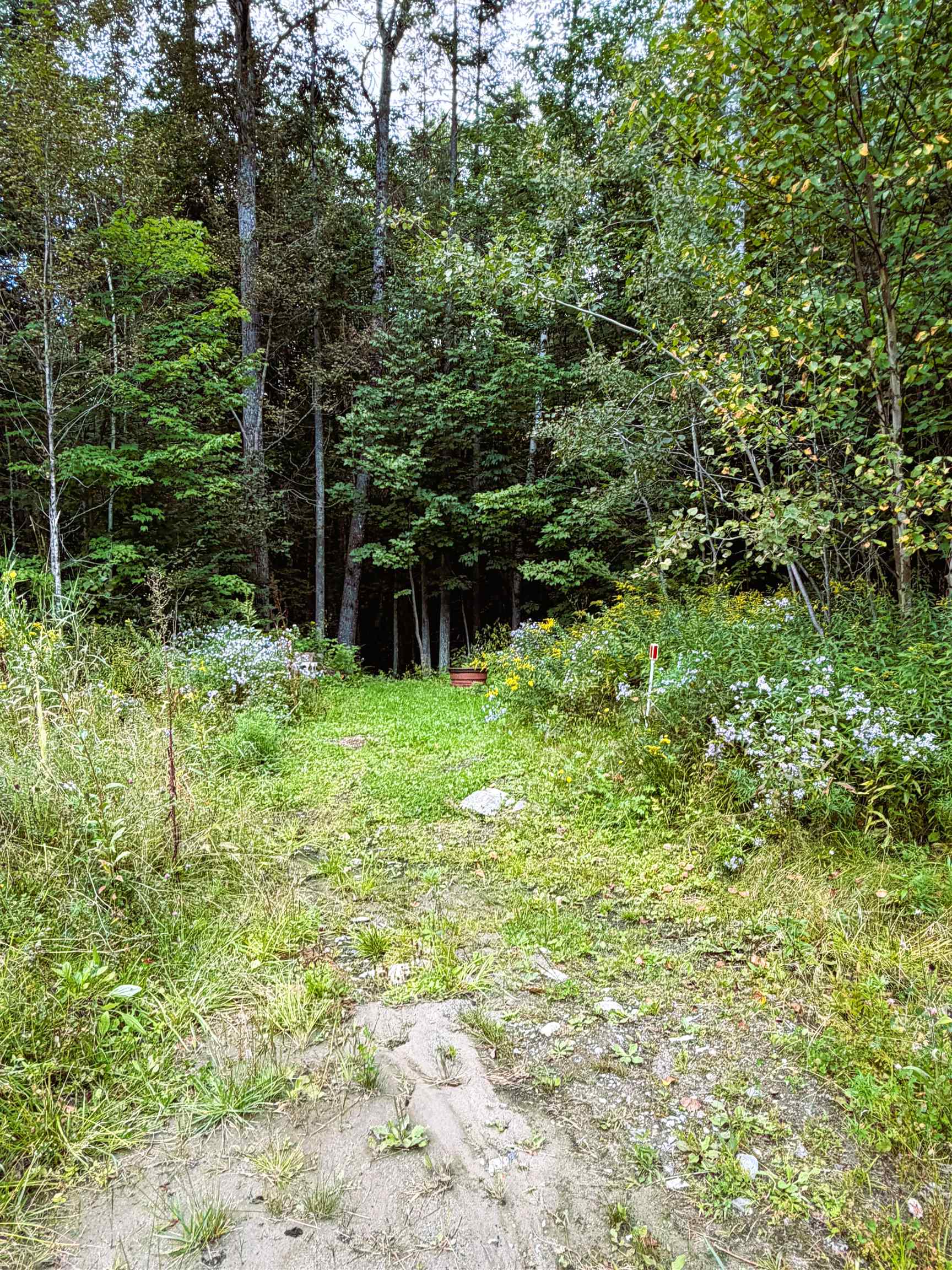 453 Union Road Property Photo 29