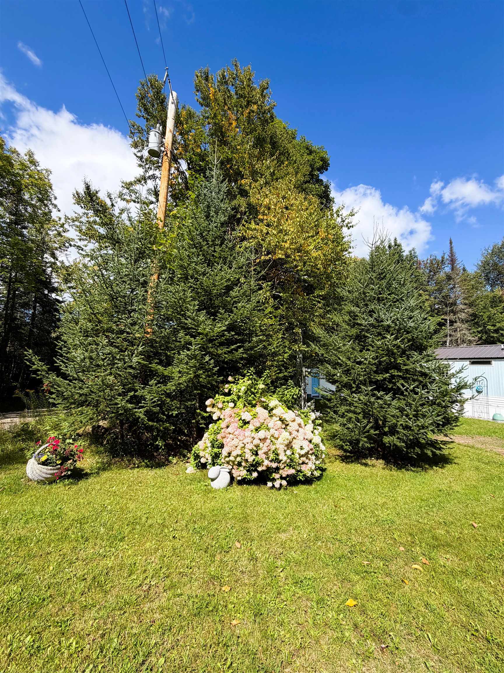 453 Union Road Property Photo 36