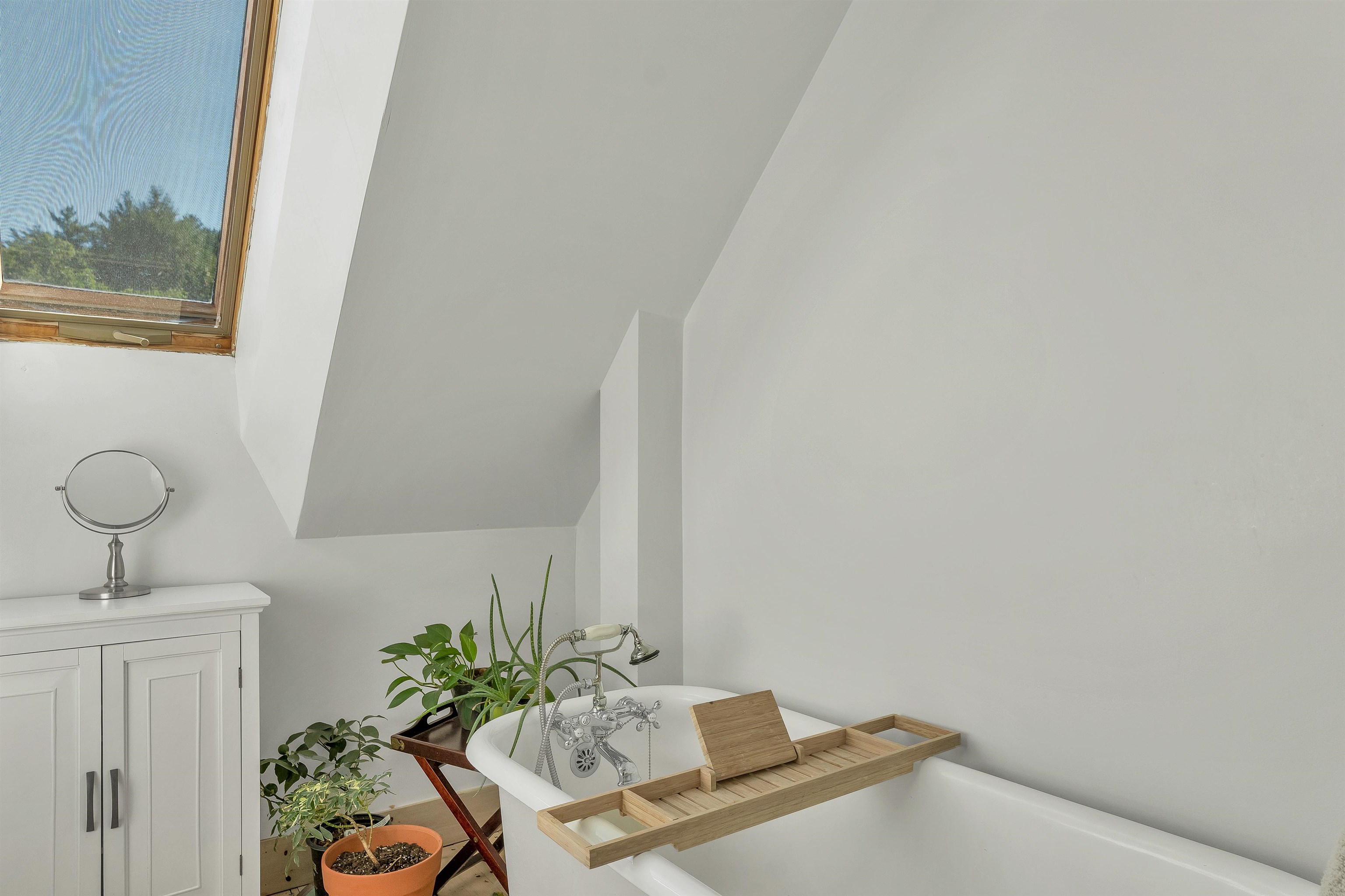18 Shaw Street Property Photo 33