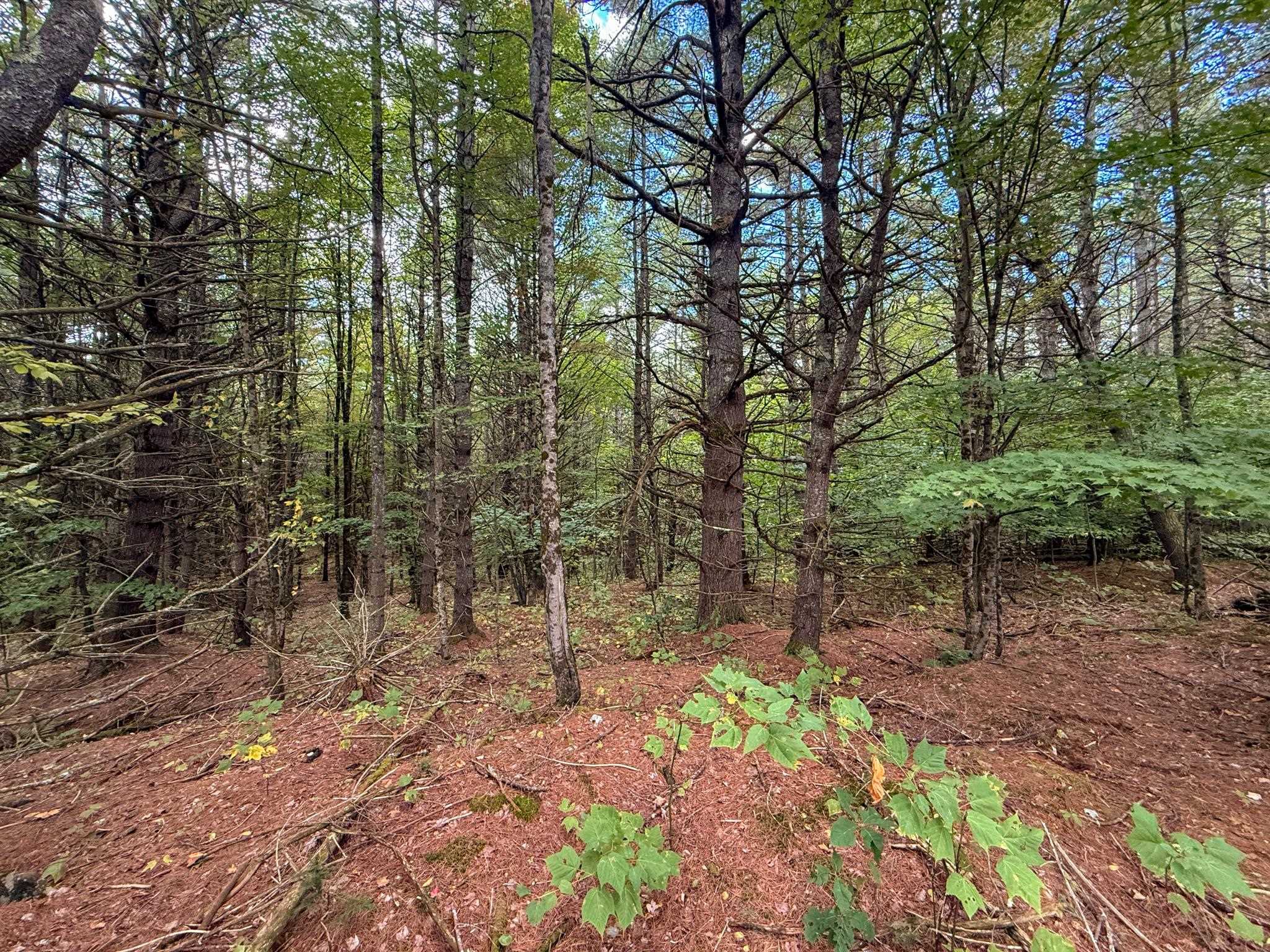 526 New Hampshire Route 25c Property Photo 33