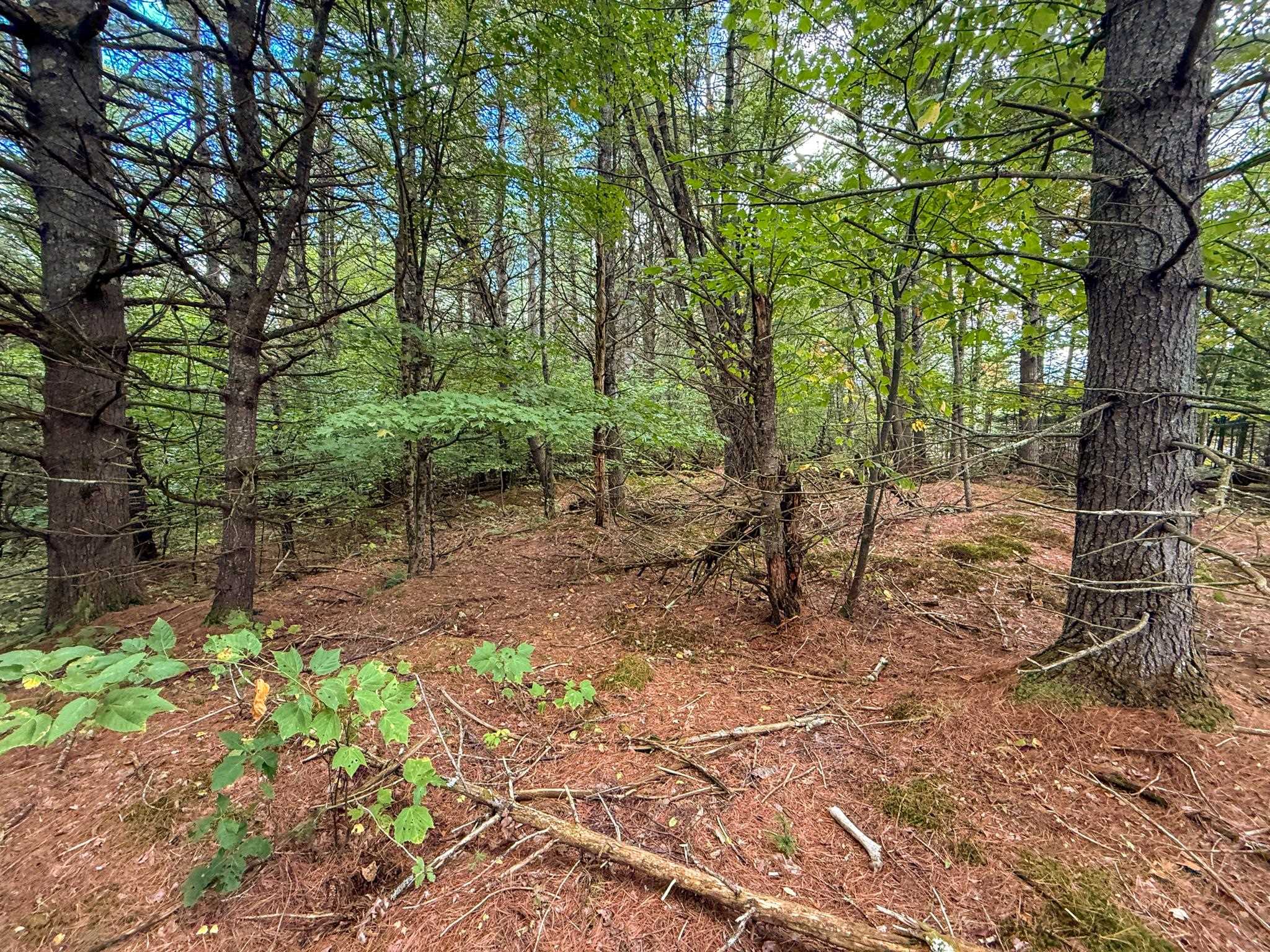 526 New Hampshire Route 25c Property Photo 34